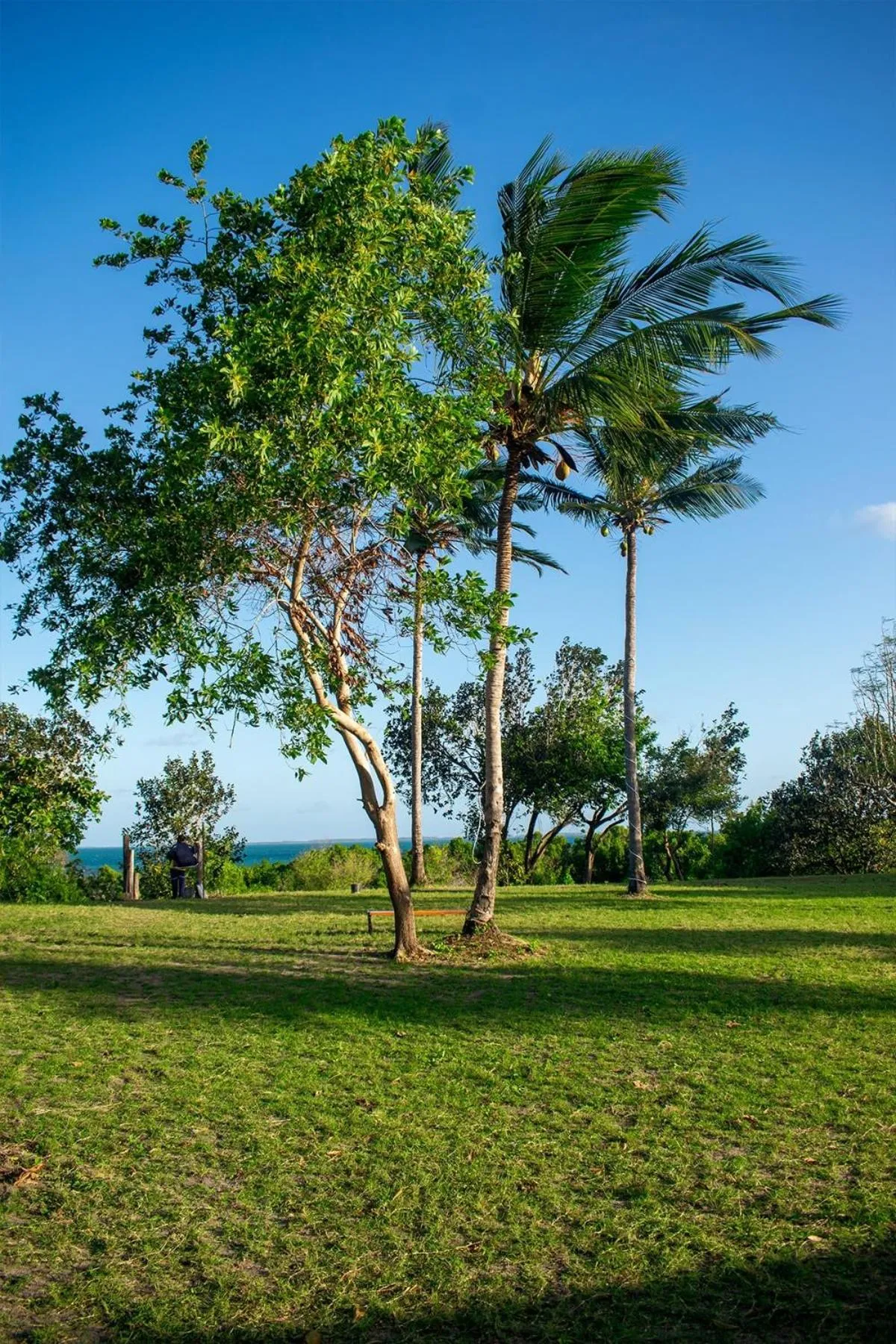 Utende Seacliff Resort