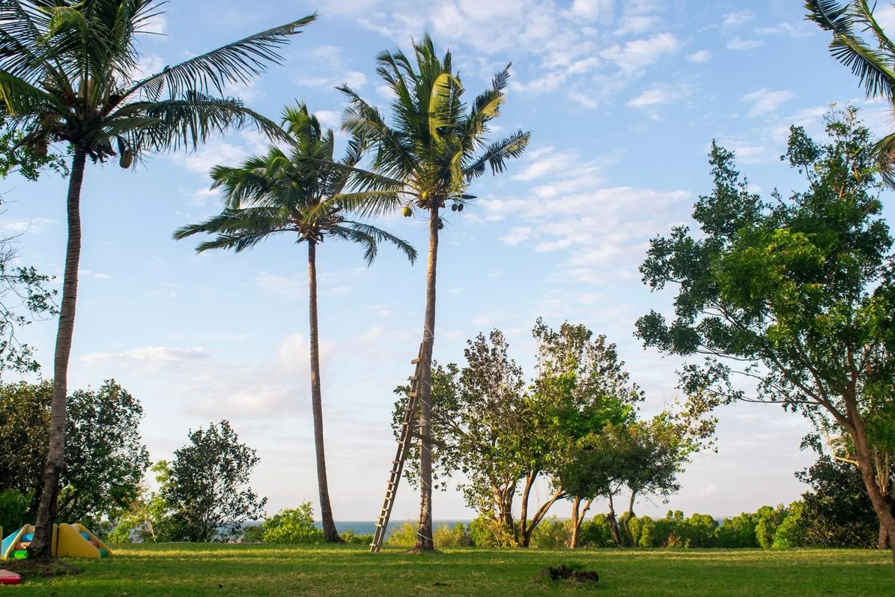 Utende Seacliff Resort