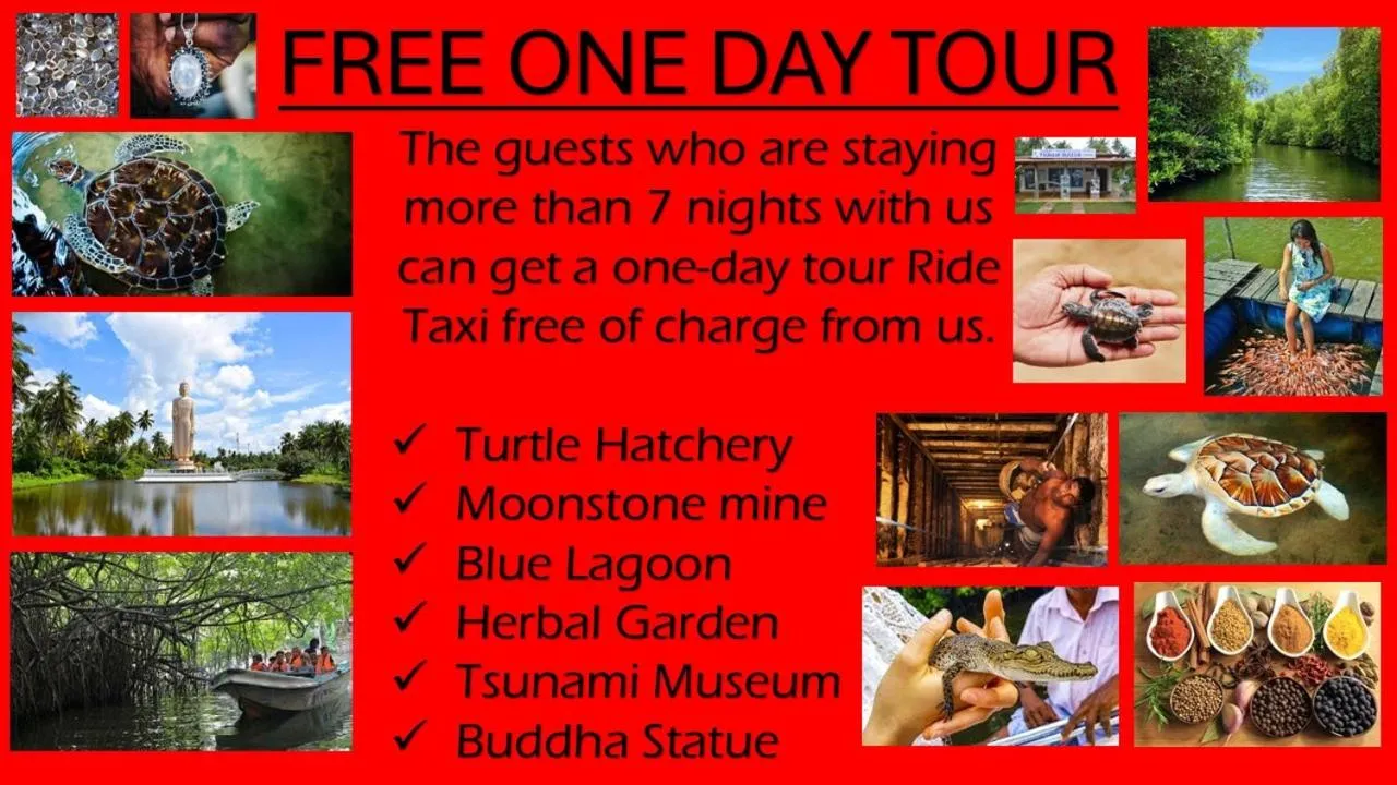 Property building in Tamara Motels