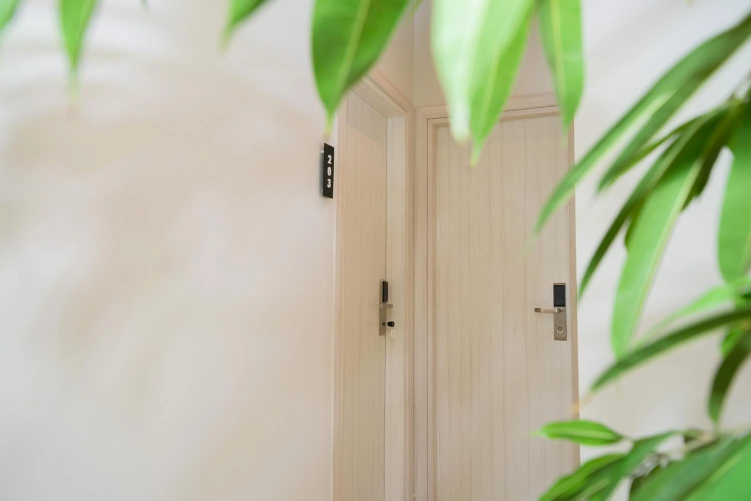 Lunar Hotel Modern Boutique