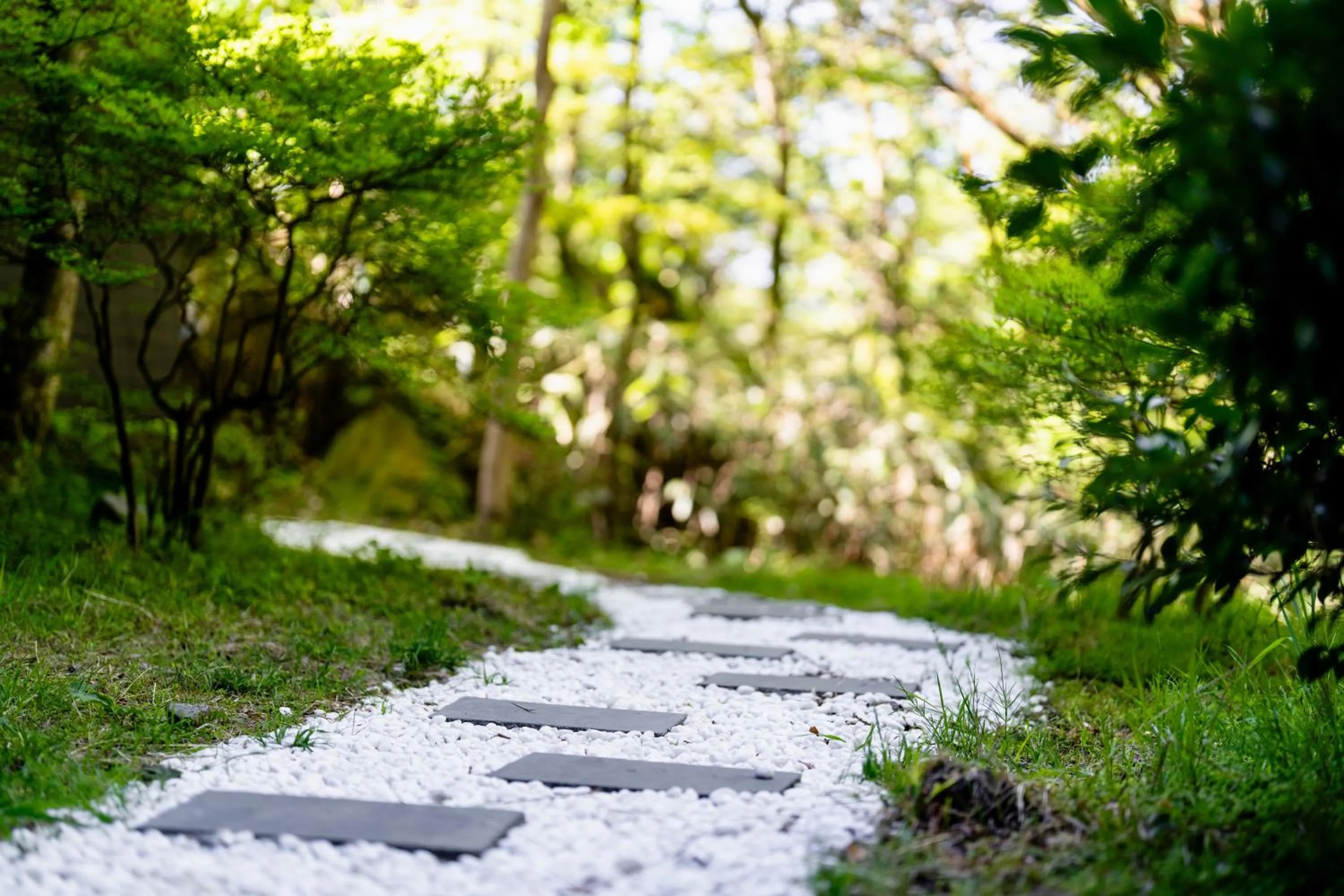 Spring in YuYu Hakone - Private Open Air Onsen Usage Guaranteed