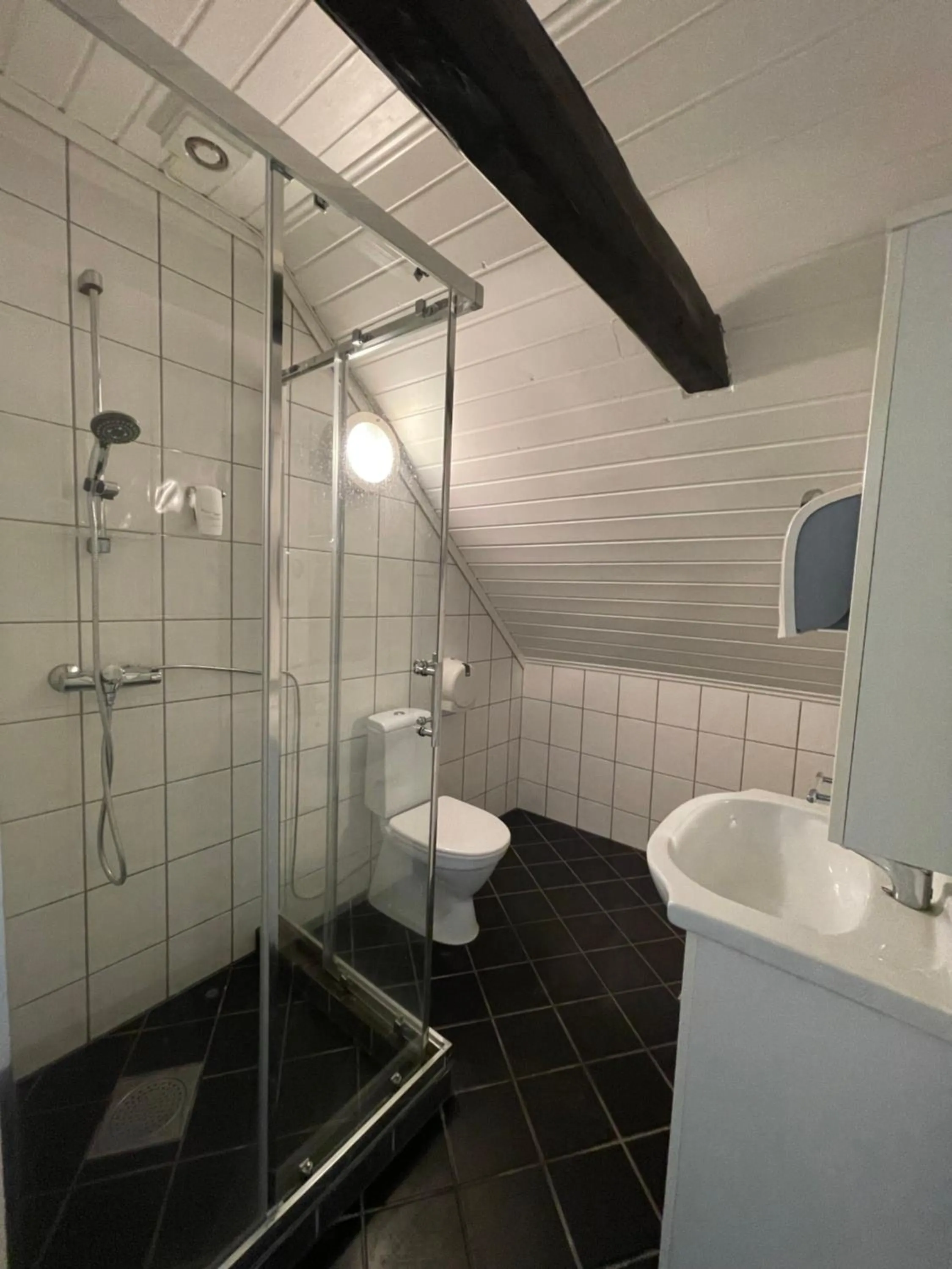 Shower in Jondal Hotel