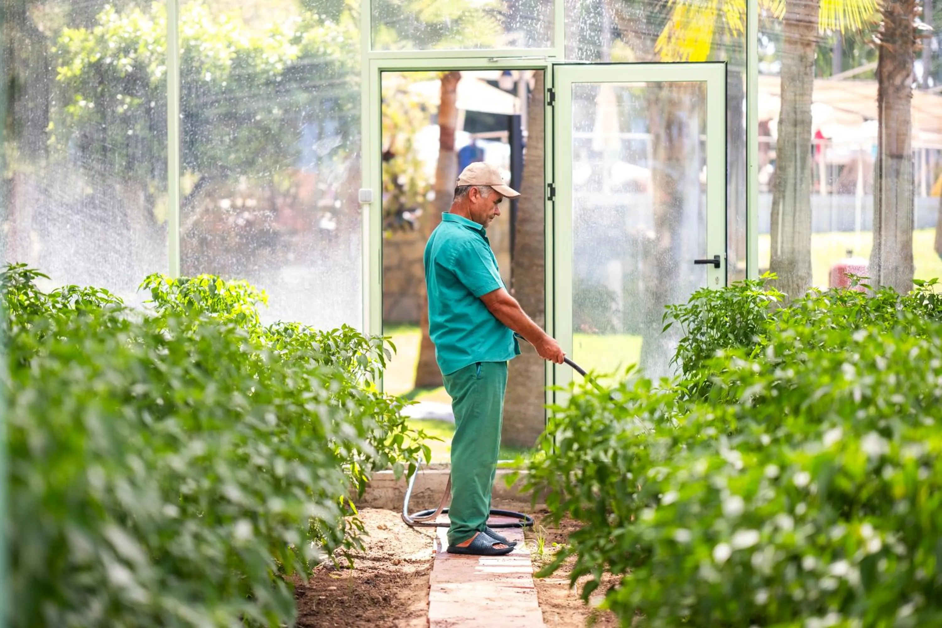 Iz Flower Side Beach Hotel