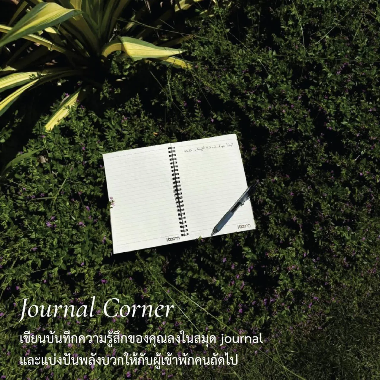 Activities in The Grandiose Hotel Chiang Rai เดอะแกรนด์ดิโอสเชียงราย