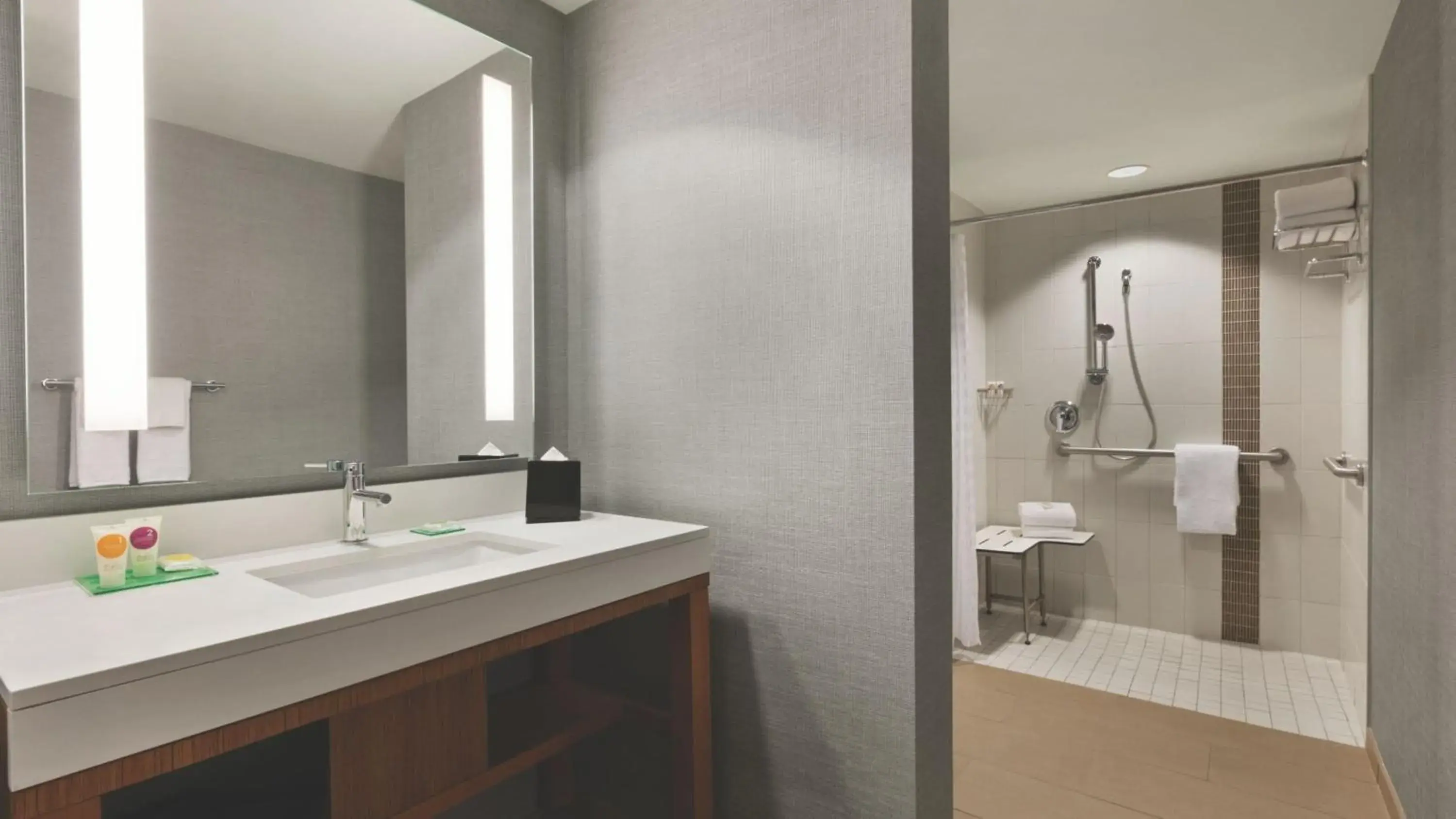 King Room with Sofa Bed and Roll-In Shower - Disability Access in Hyatt Place Baltimore Inner Harbor King Room with Sofa Bed and Roll-In Shower - Disability Access in Hyatt Place Baltimore Inner Harbor