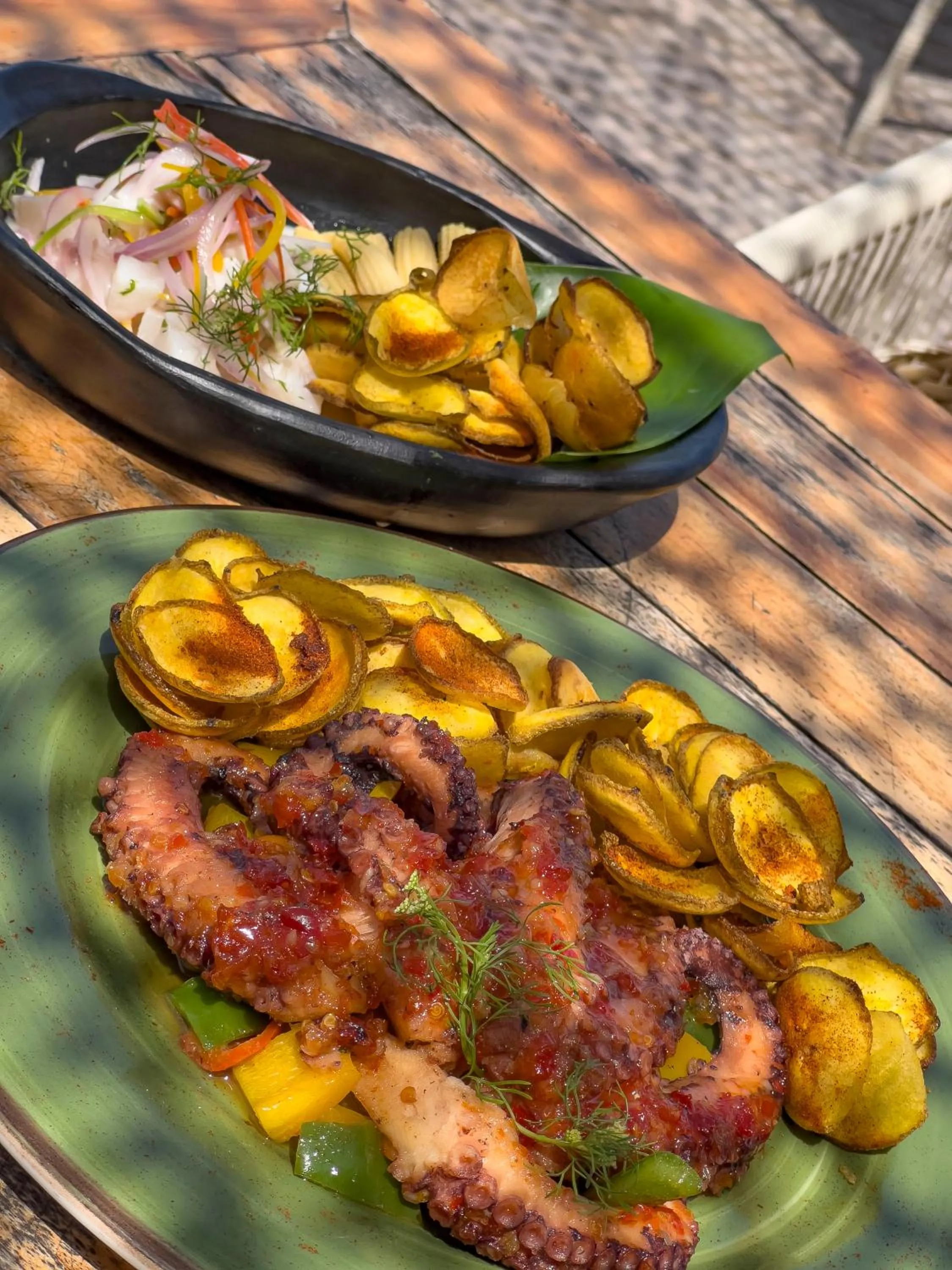 Food and drinks in Palmarito Beach Hotel