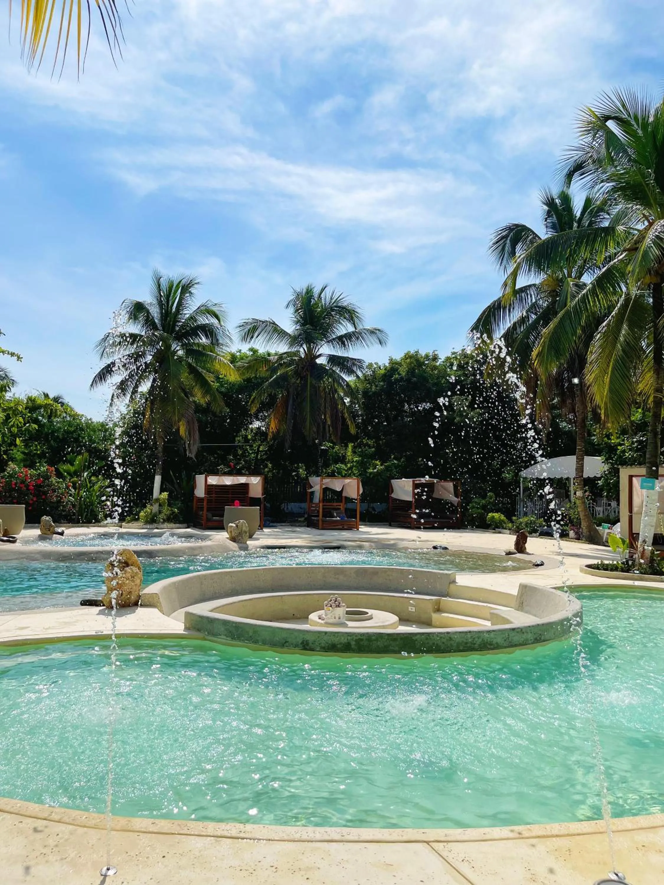 Natural landscape in Palmarito Beach Hotel