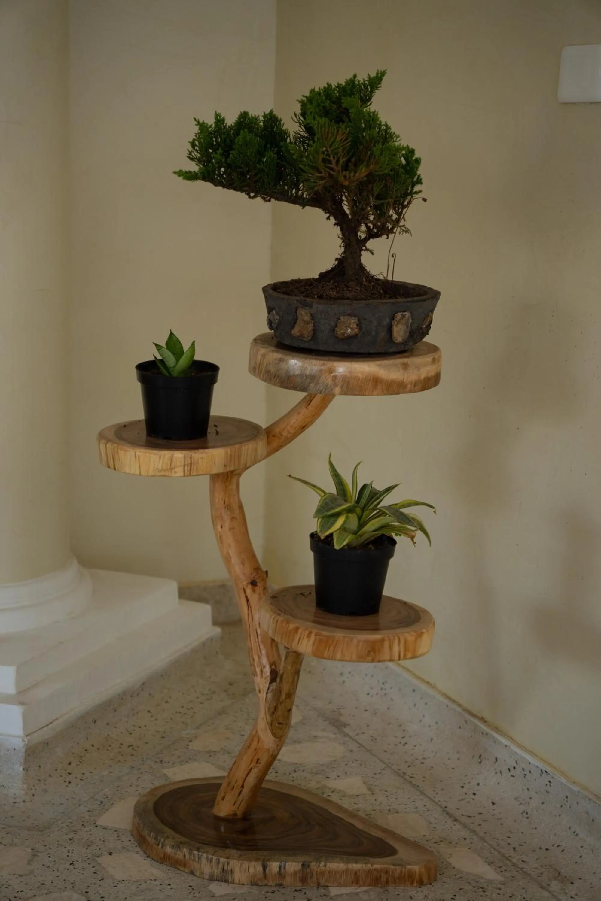 Lobby or reception in Palmarito Beach Hotel