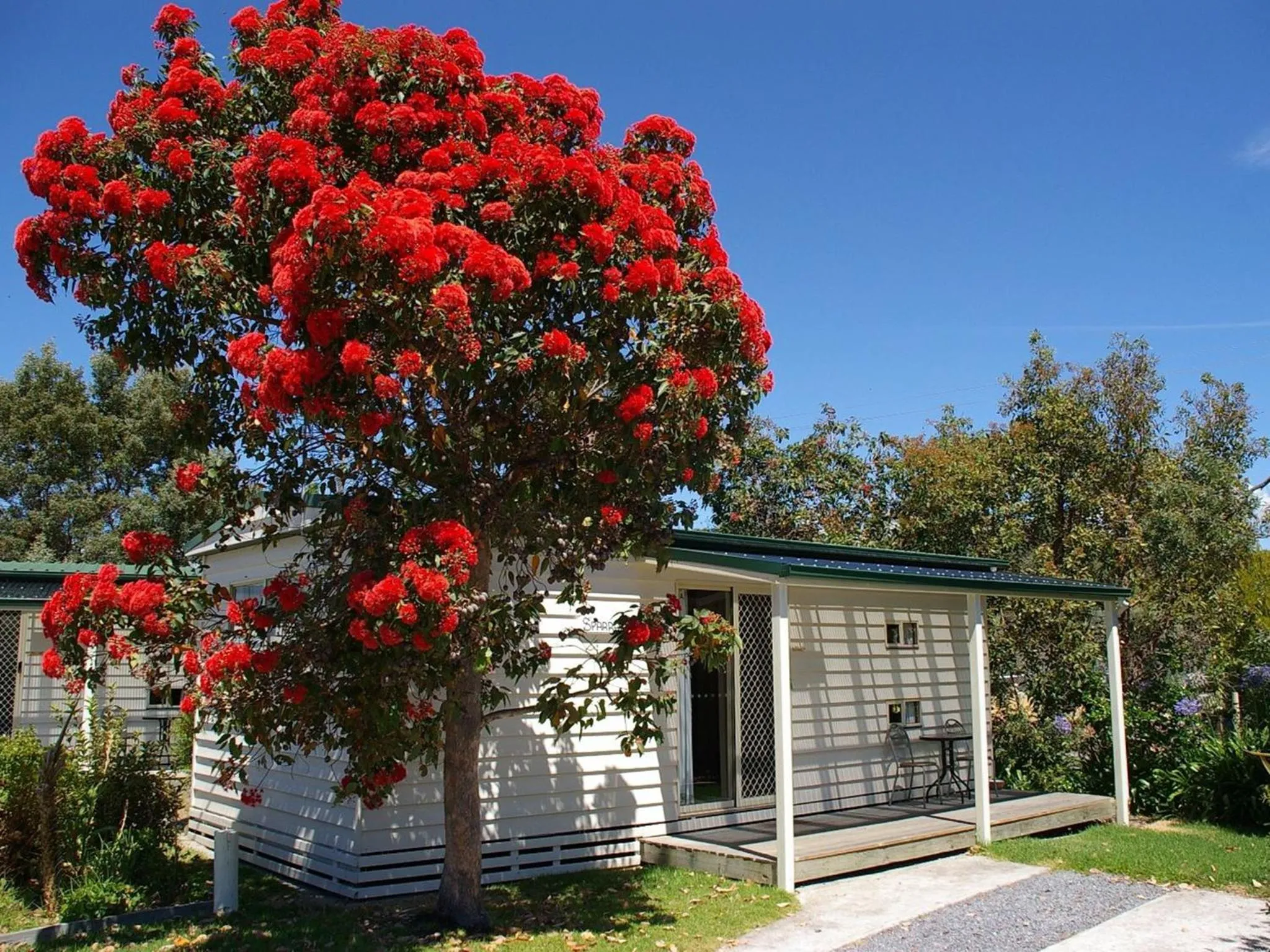 Property building in Beauty Point Tourist Park