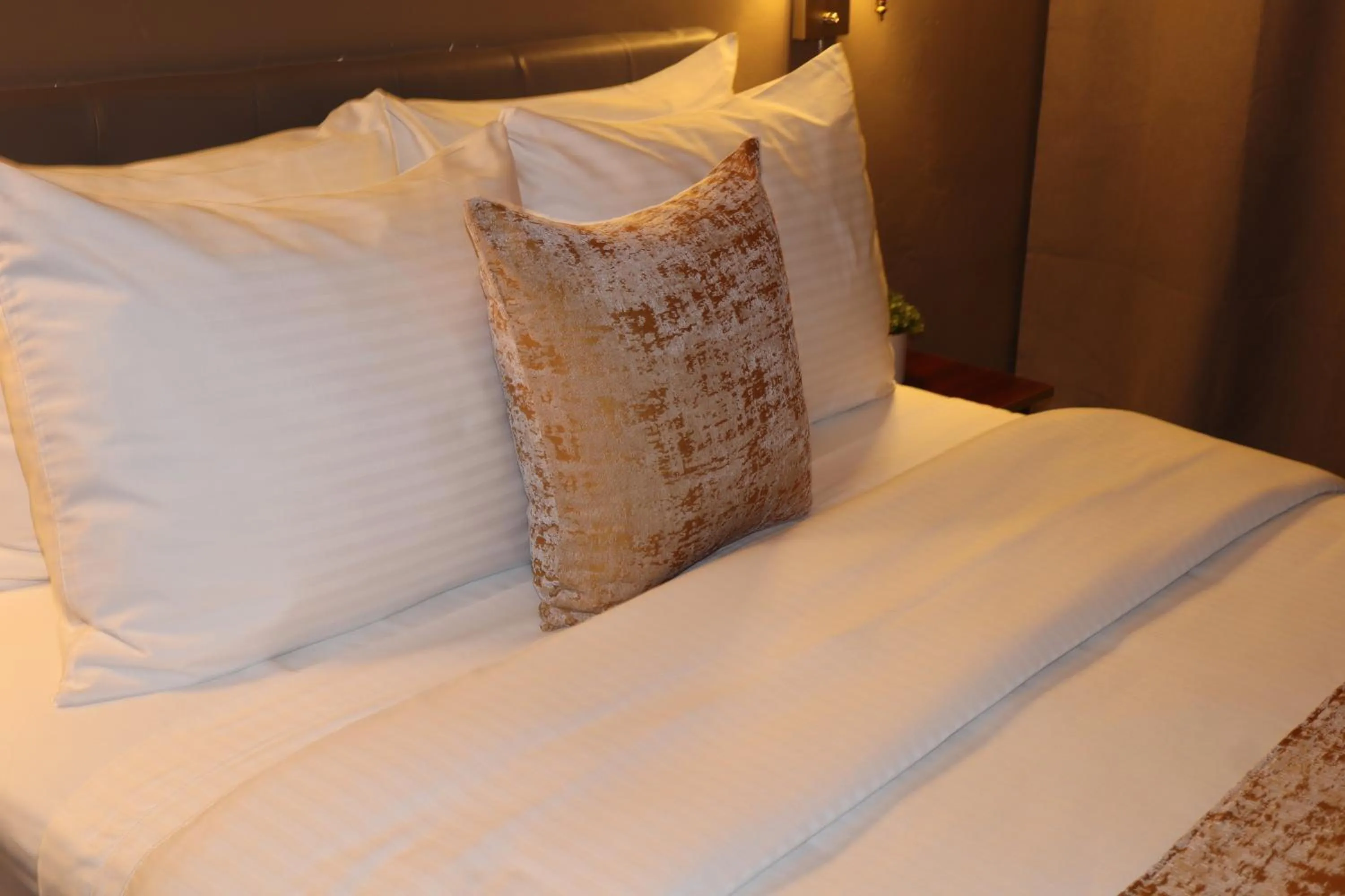 Bed in Hotel TB Downtown Miami