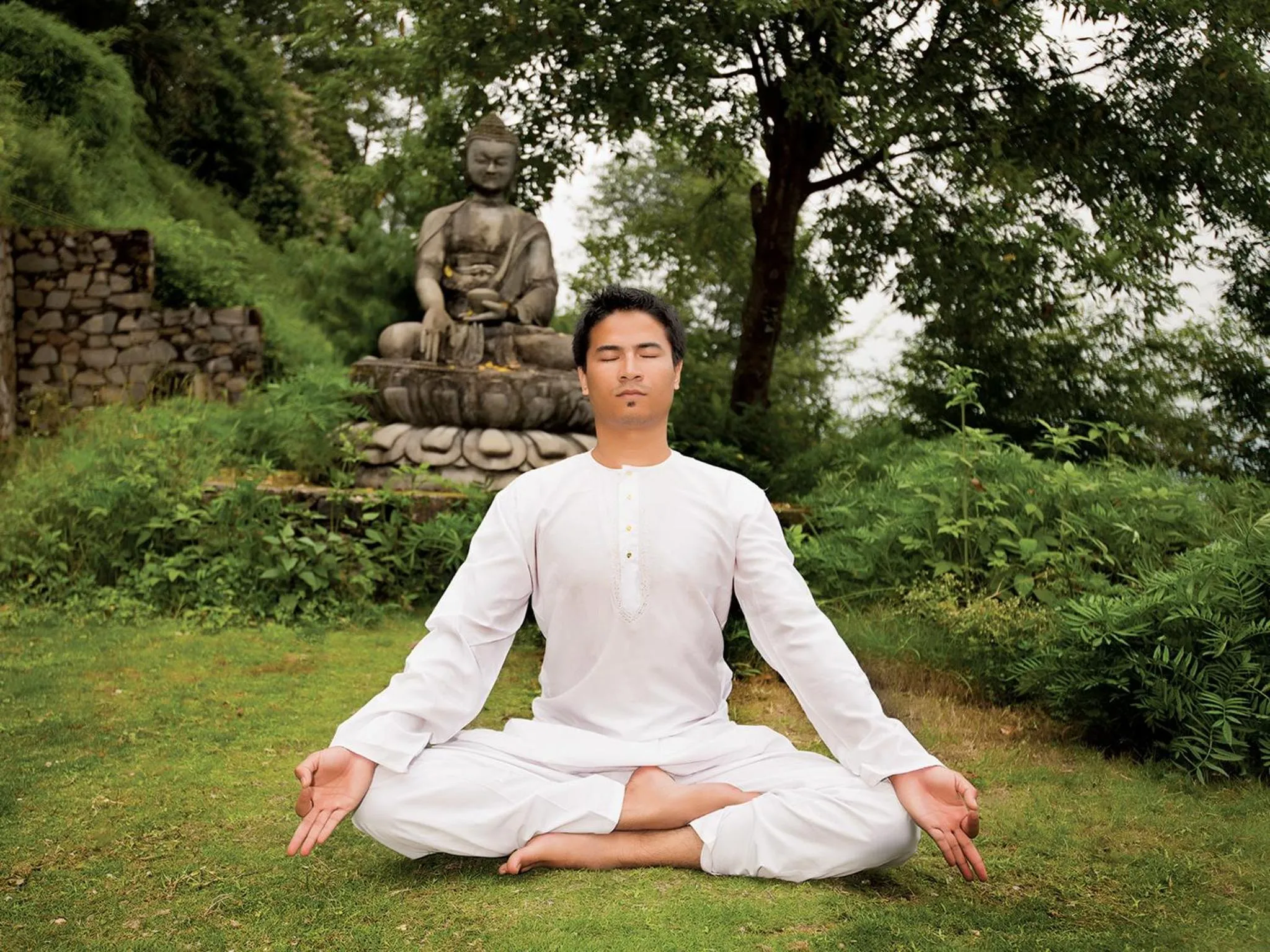 Garden in Hotel Country Villa