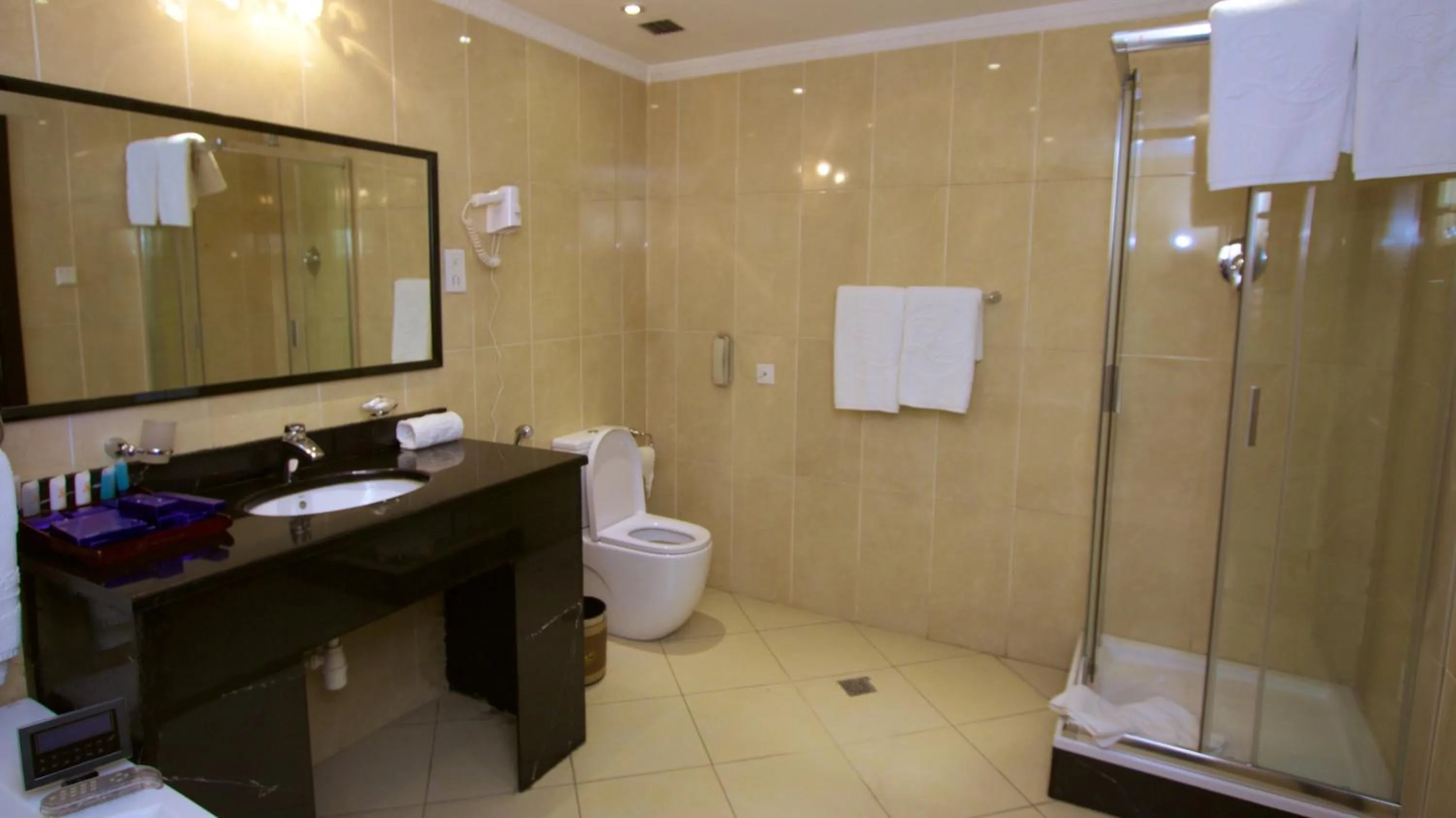 Shower in Elilly International Hotel