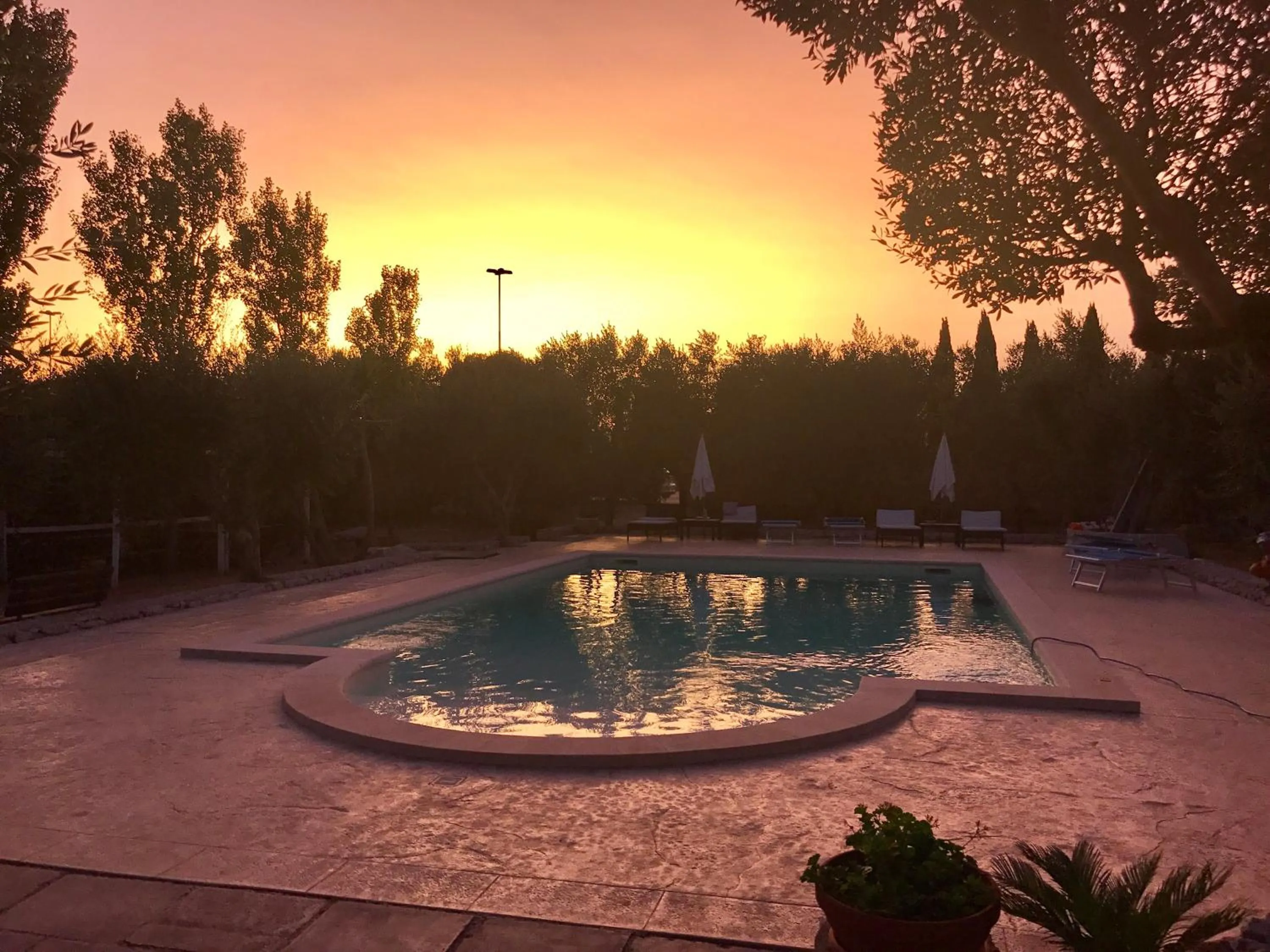 Swimming pool in B&B Tenuta la Cornula