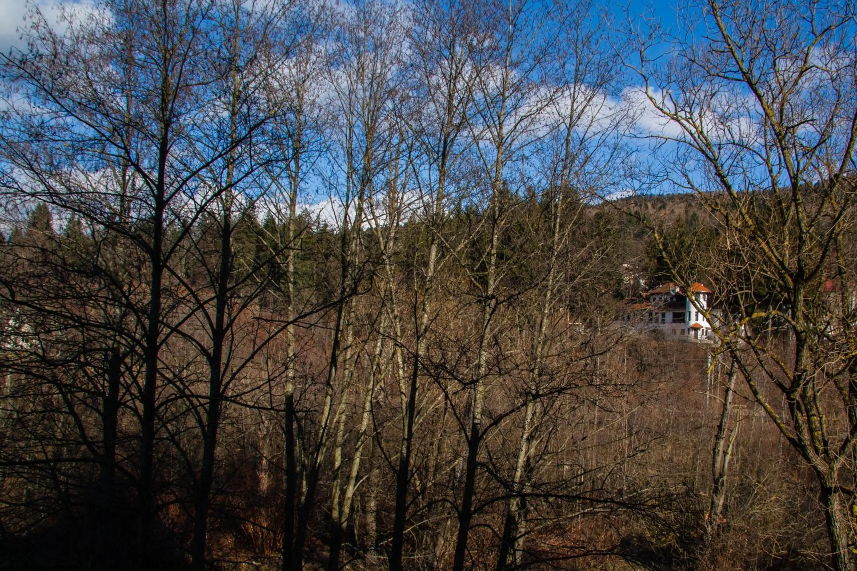 Day in Hotel Riviera