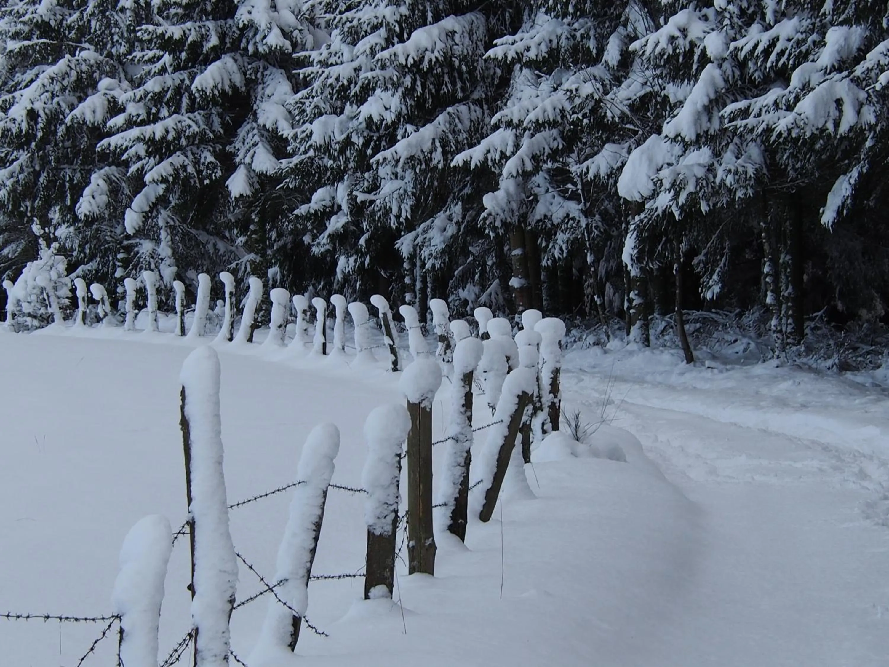 Winter in B&B La Chabetaine