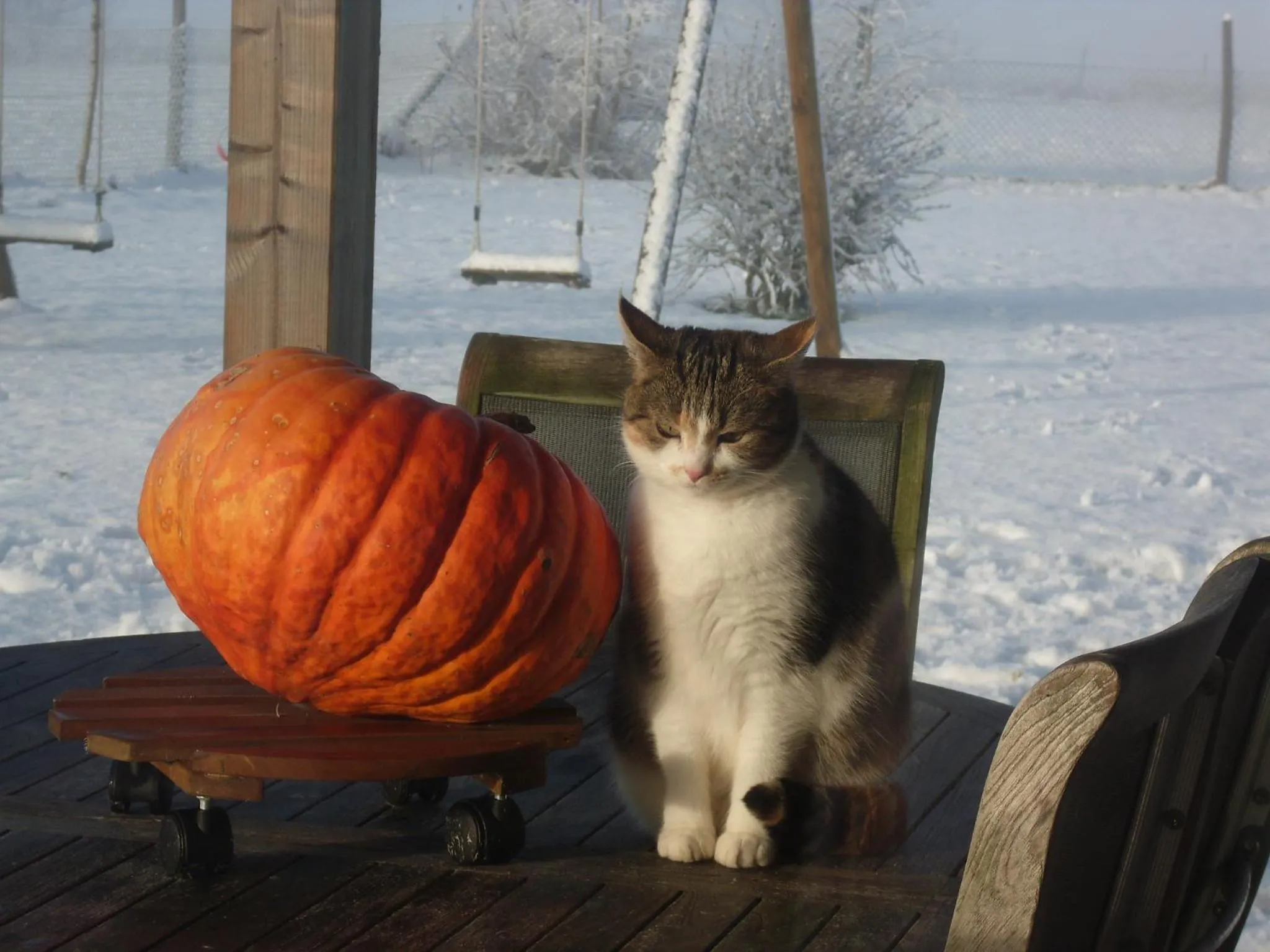Decorative detail in B&B La Chabetaine