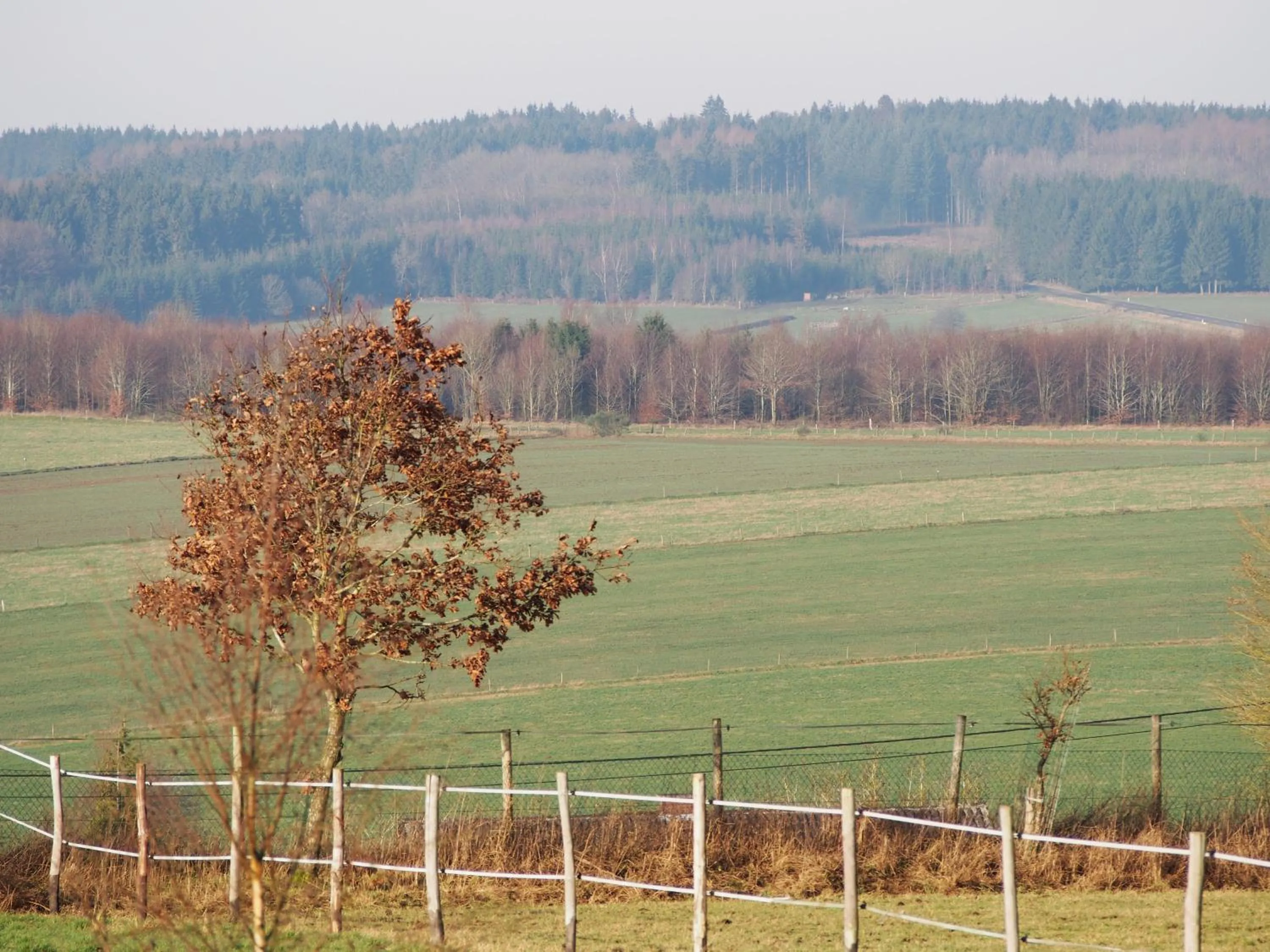 View (from property/room) in B&B La Chabetaine