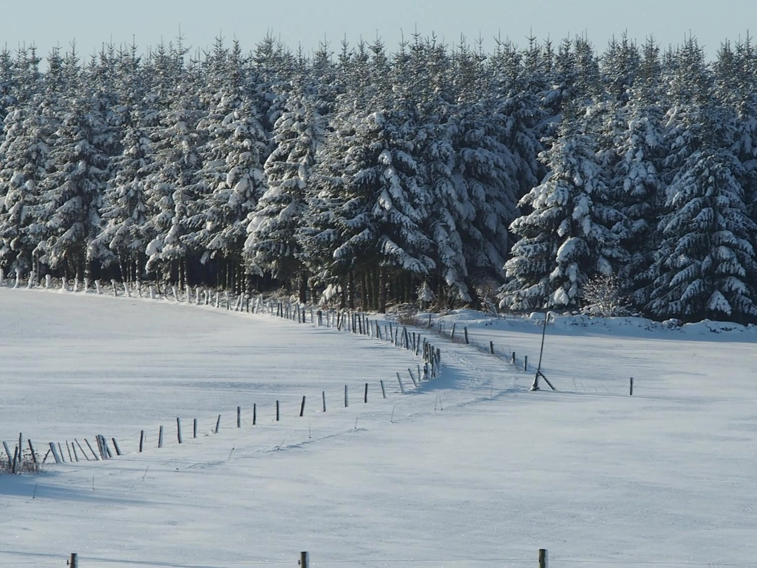 Natural landscape in B&B La Chabetaine