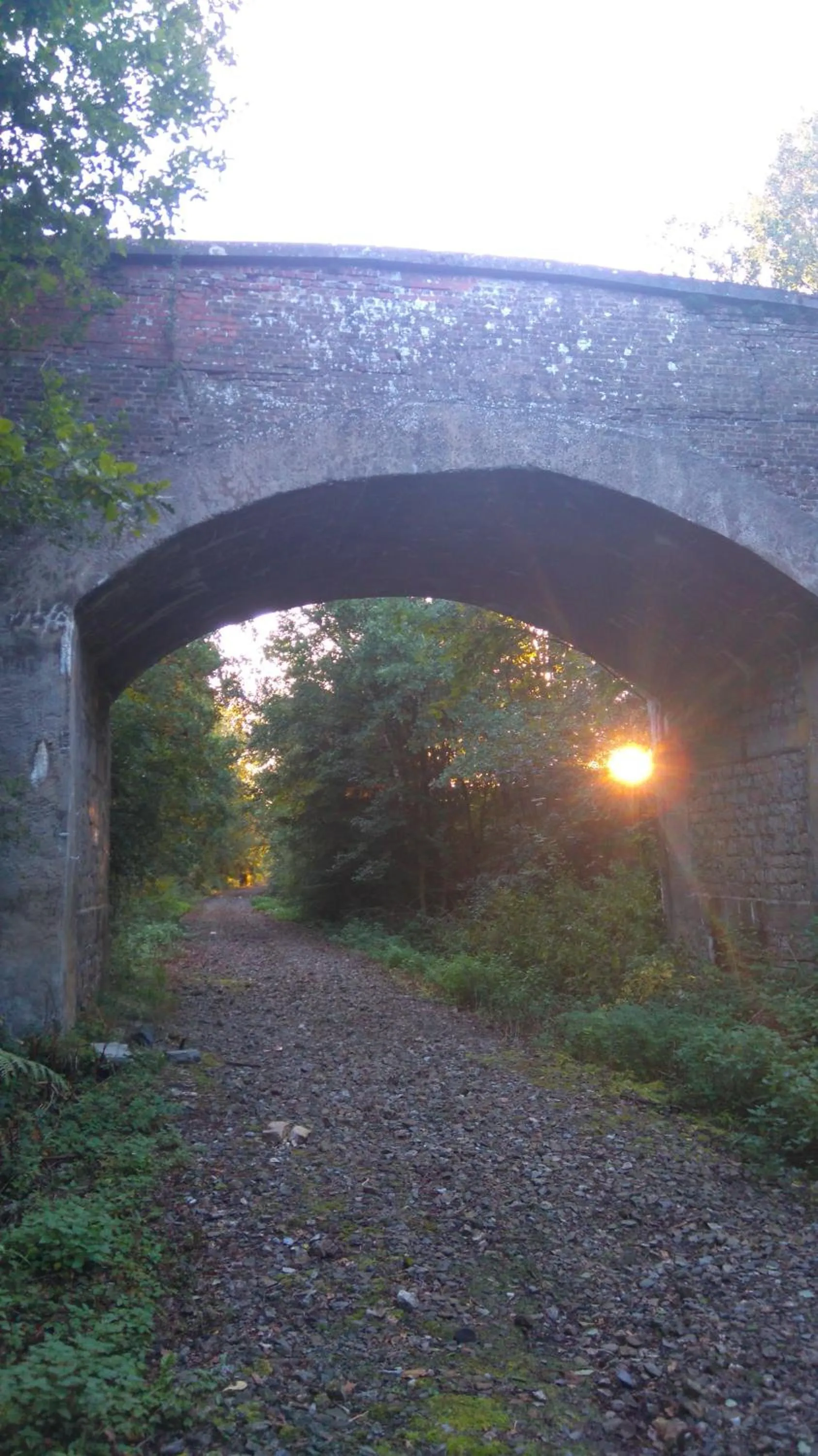 Natural landscape in B&B La Chabetaine