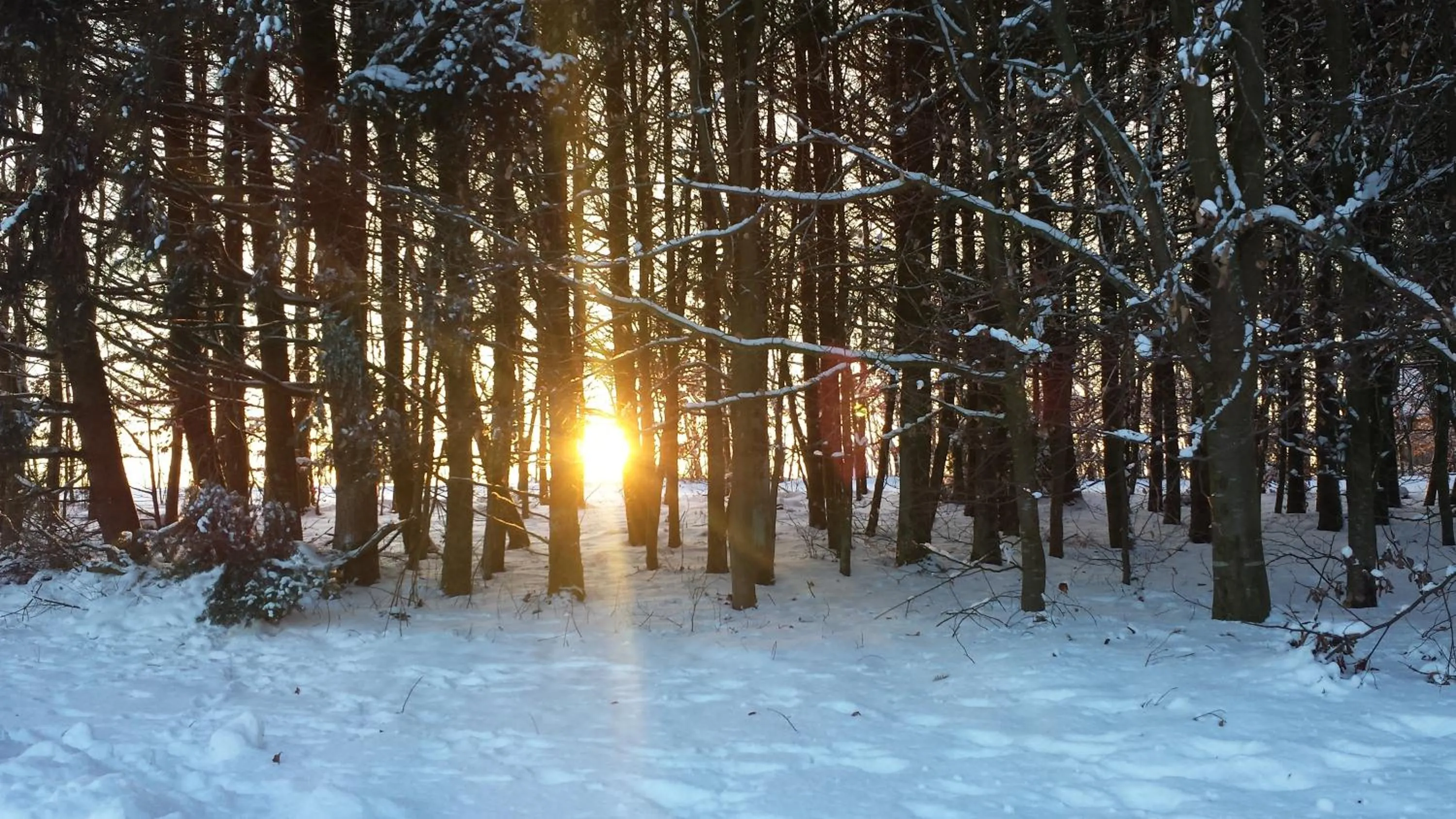 Off site in B&B La Chabetaine