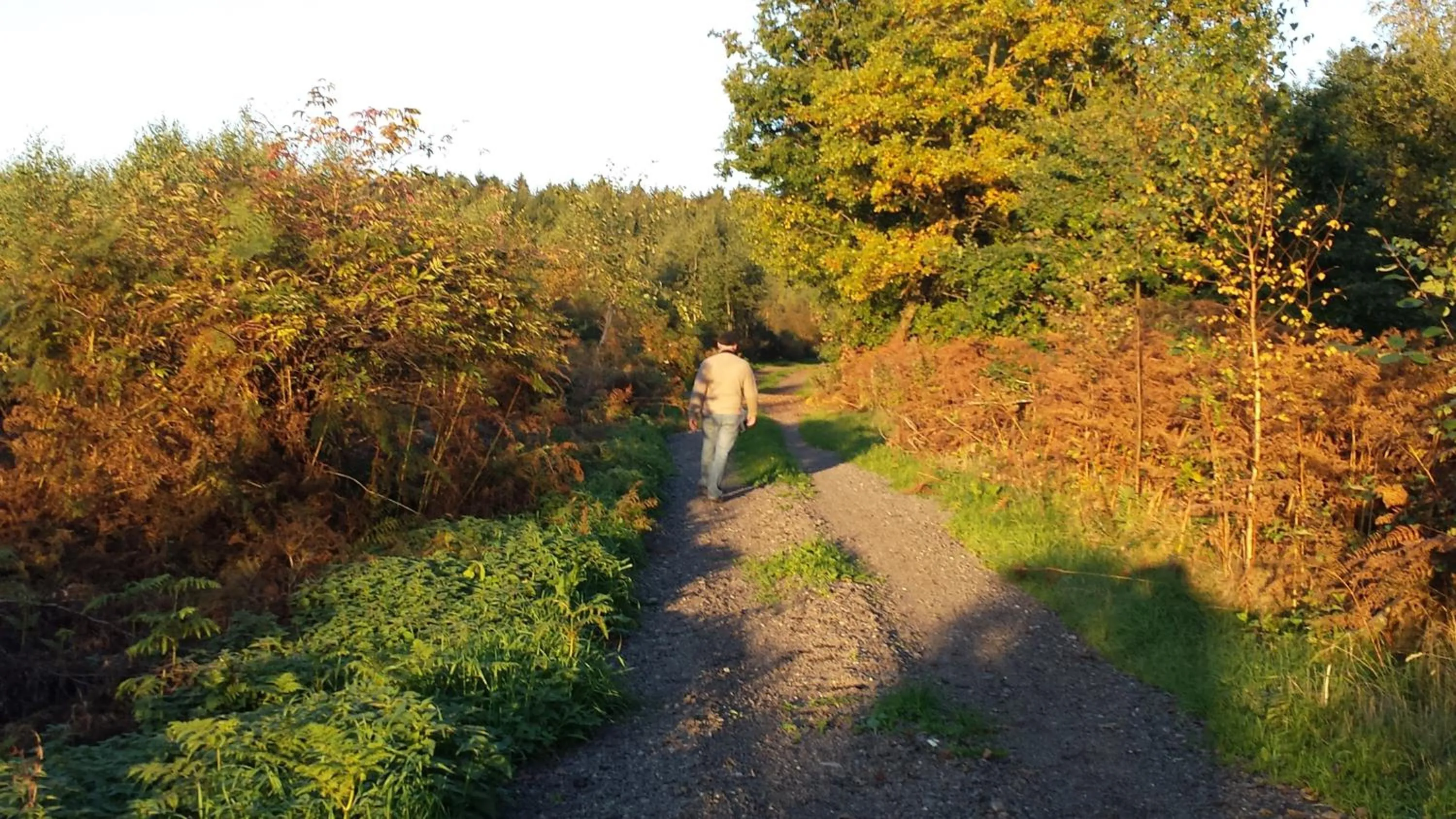 Off site in B&B La Chabetaine