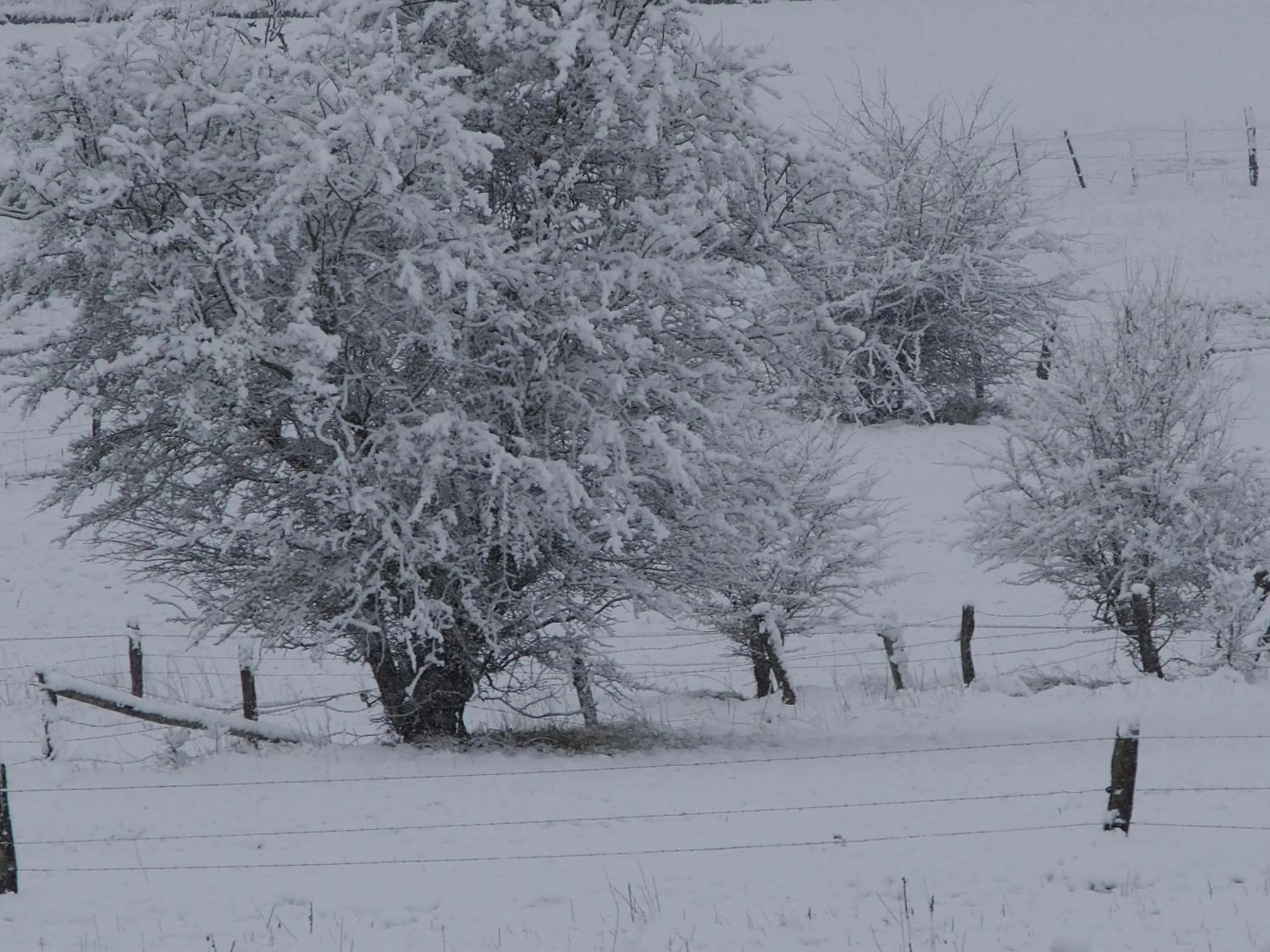 Winter in B&B La Chabetaine