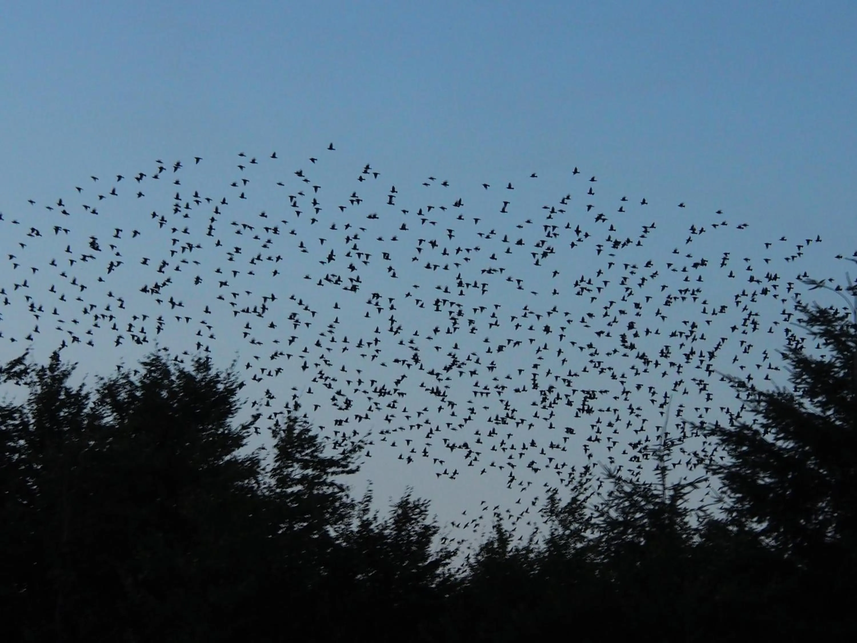 Nearby landmark in B&B La Chabetaine