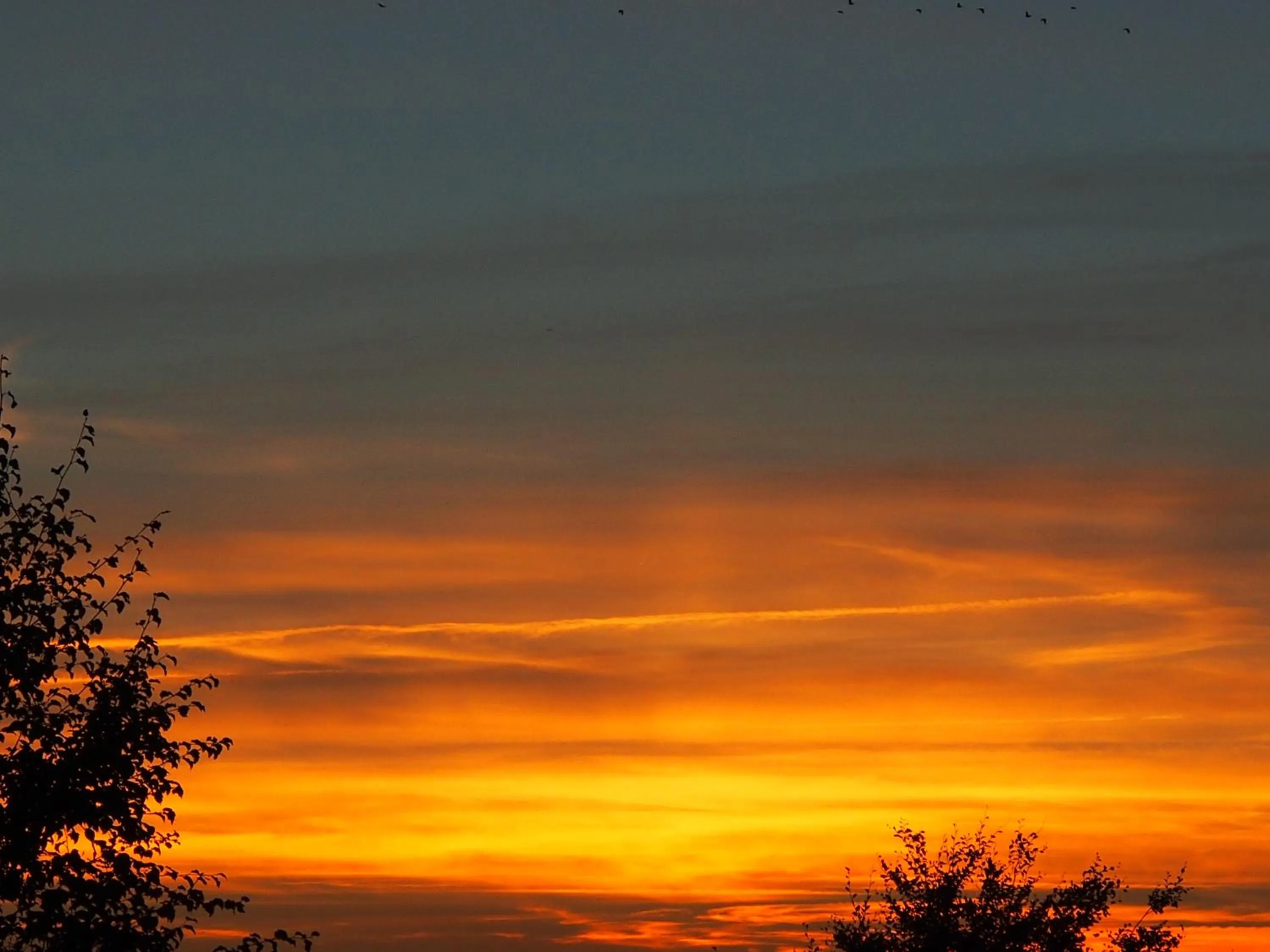 On site in B&B La Chabetaine