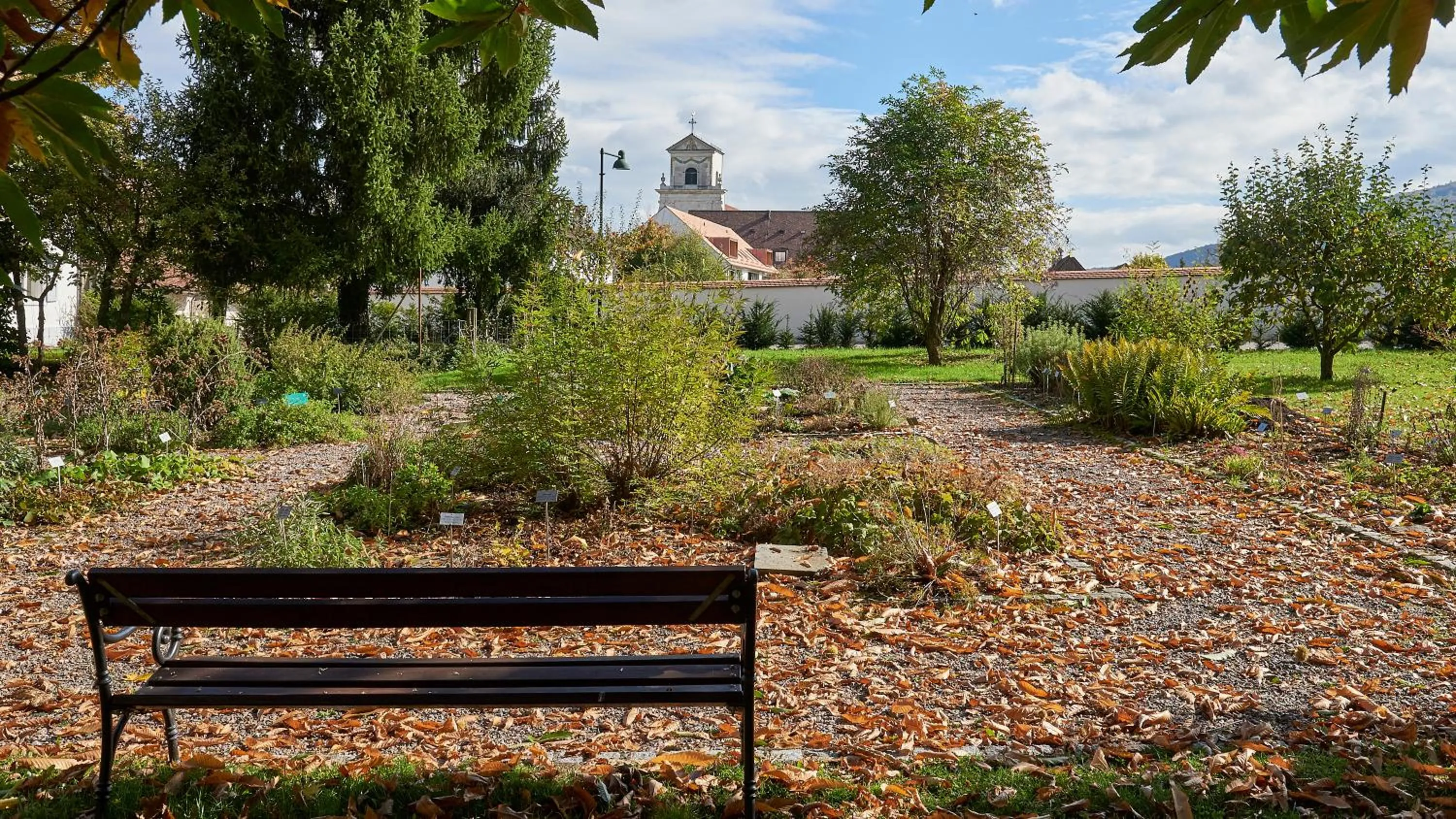 Garden in Klosterhotel Kreuz