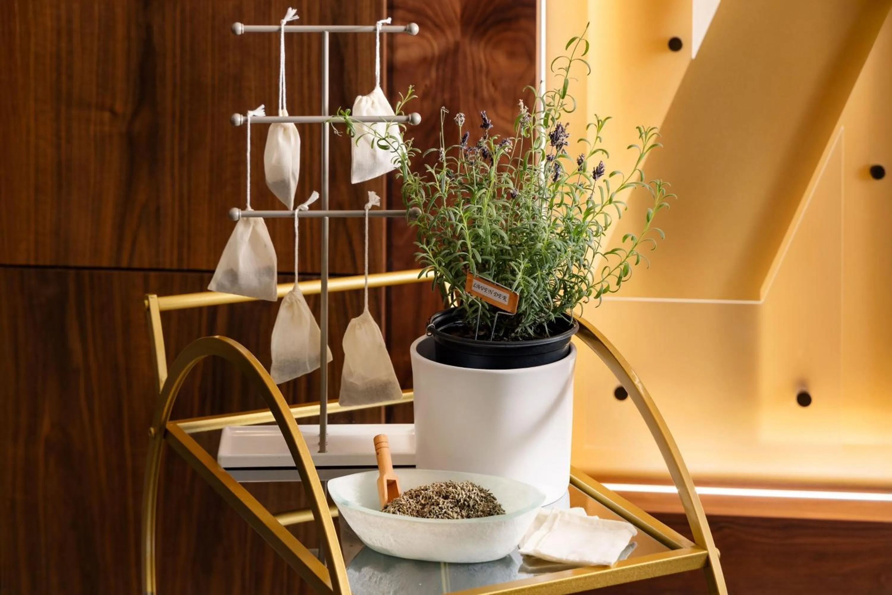 Other in AC Hotel by Marriott Newtown Square