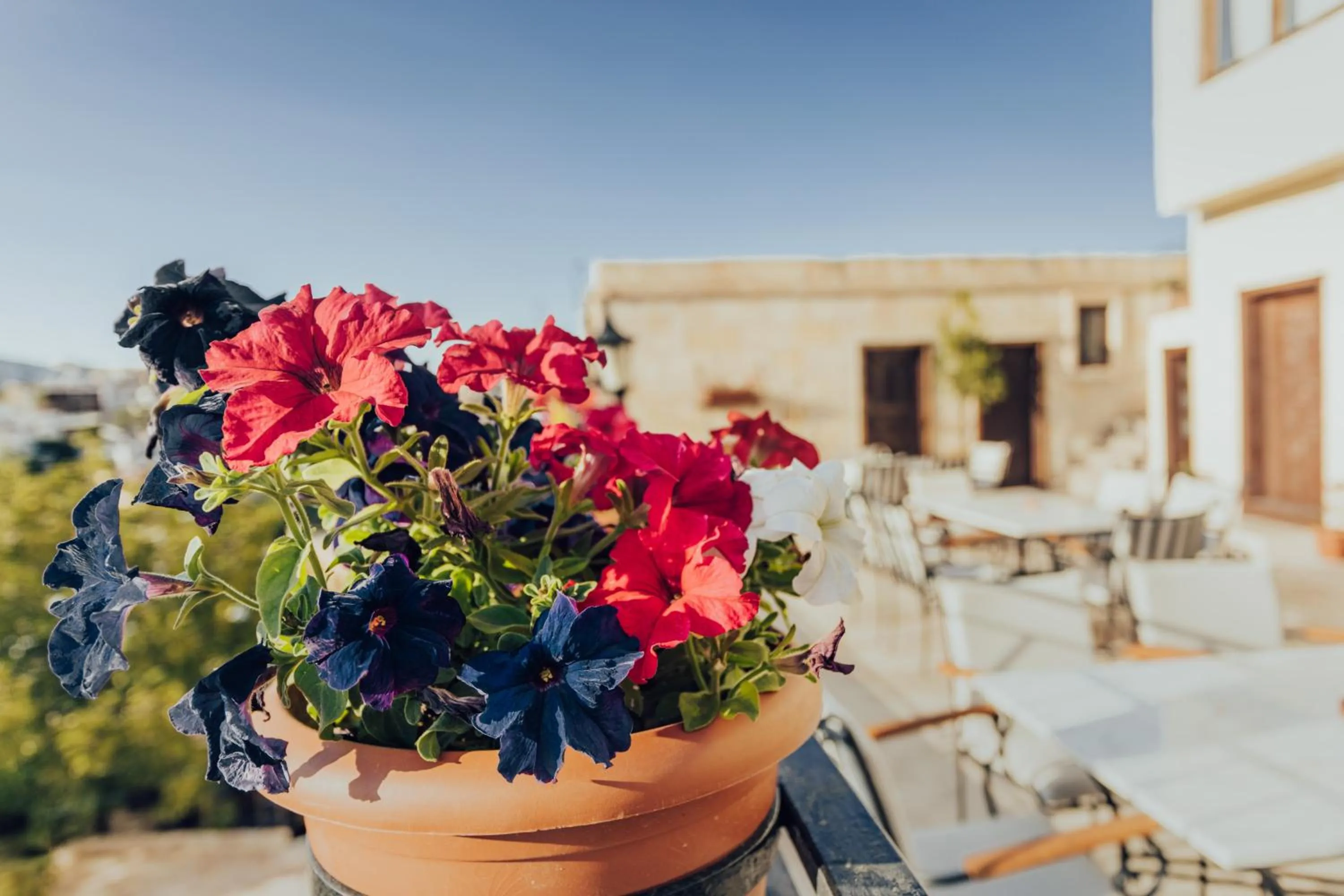 Balcony/Terrace in Güven Cave Hotel