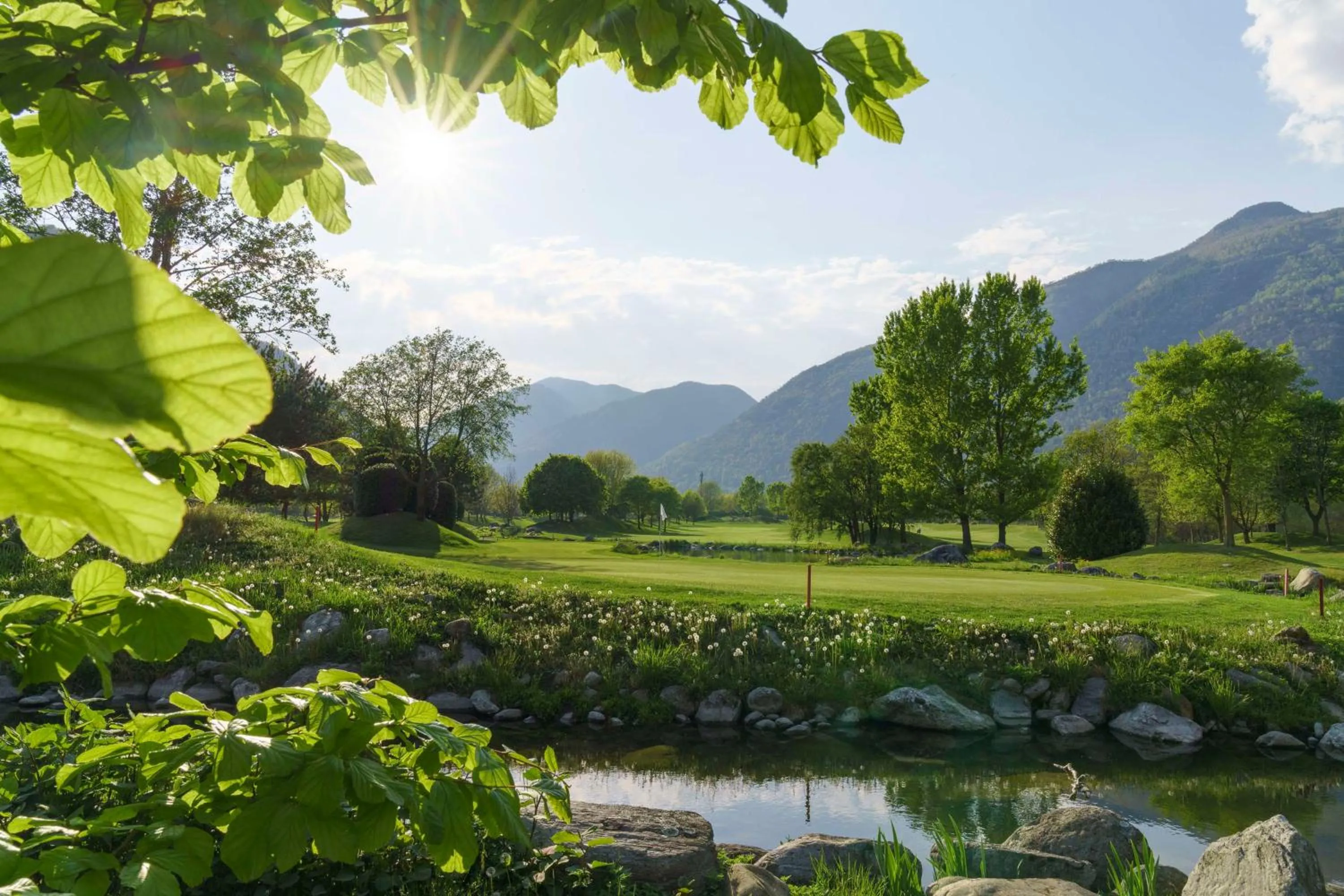 Golfcourse in Hampton By Hilton Locarno