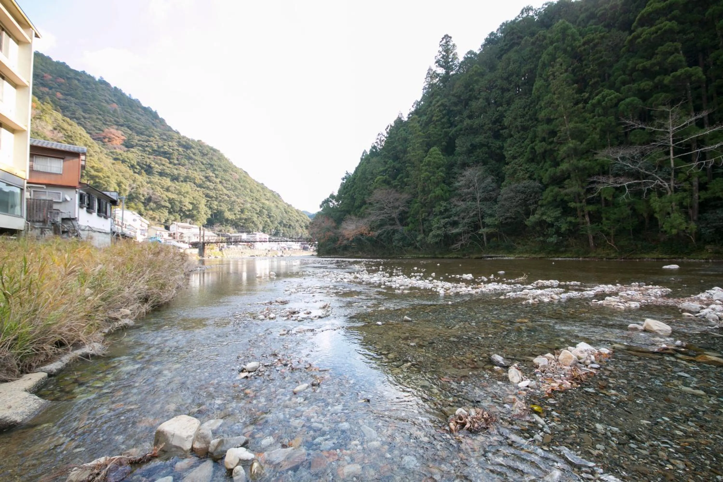Japanese-Style Room With River and Forest View - single occupancy in Sansuikan Kawayu Midoriya