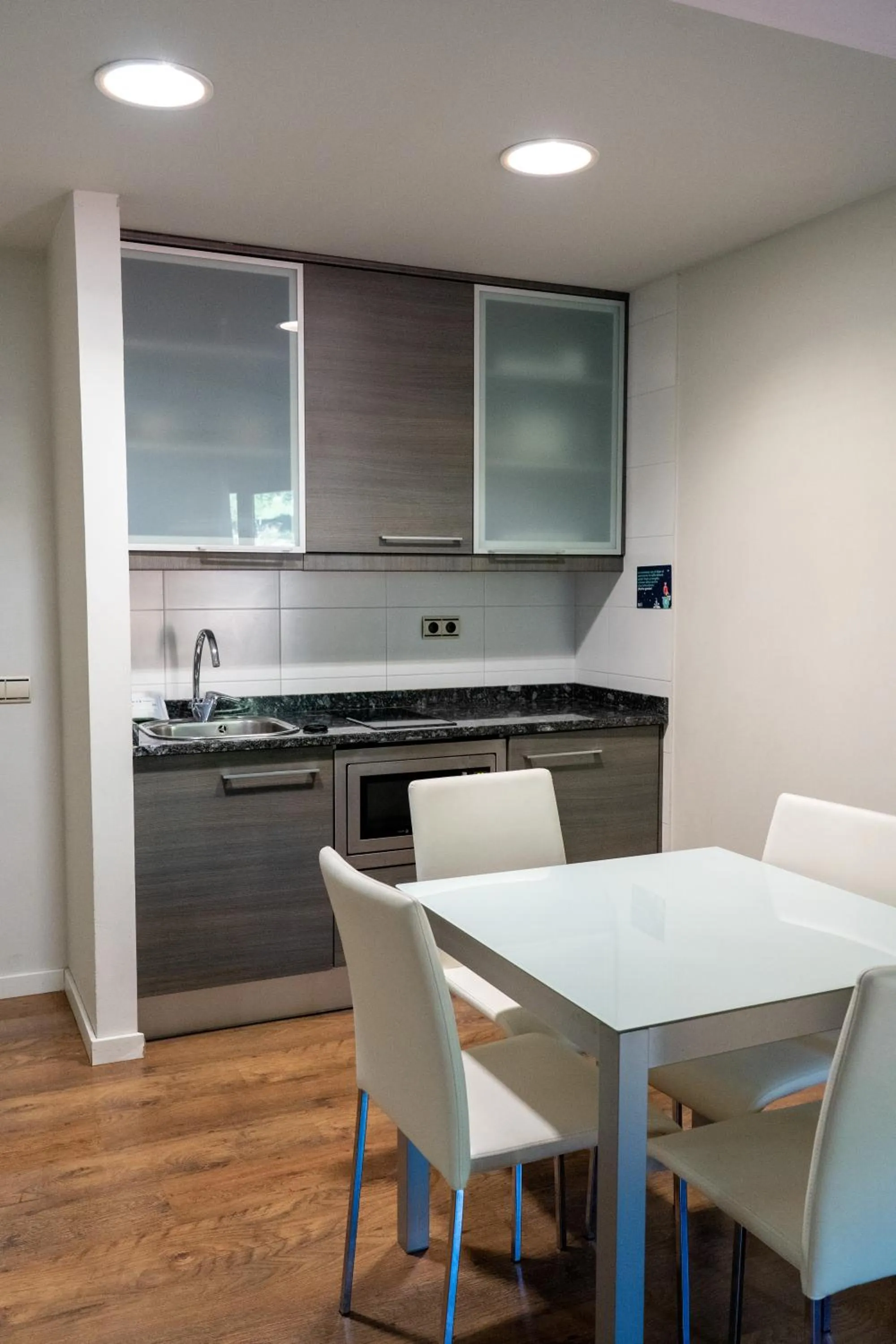 Kitchen or kitchenette in Hotel y Apartamentos SNÖ Isaba