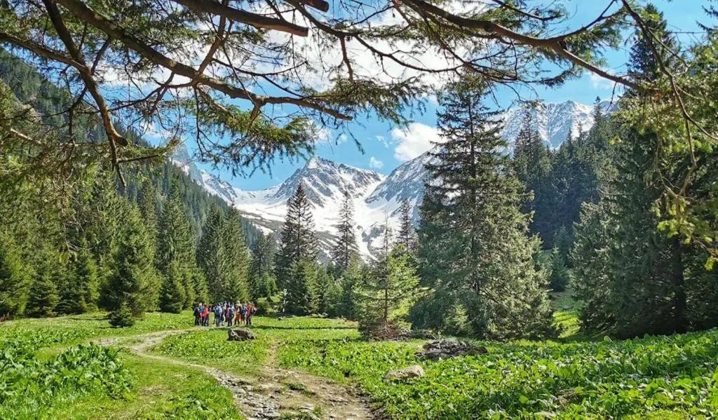 Pastravaria popas sambata