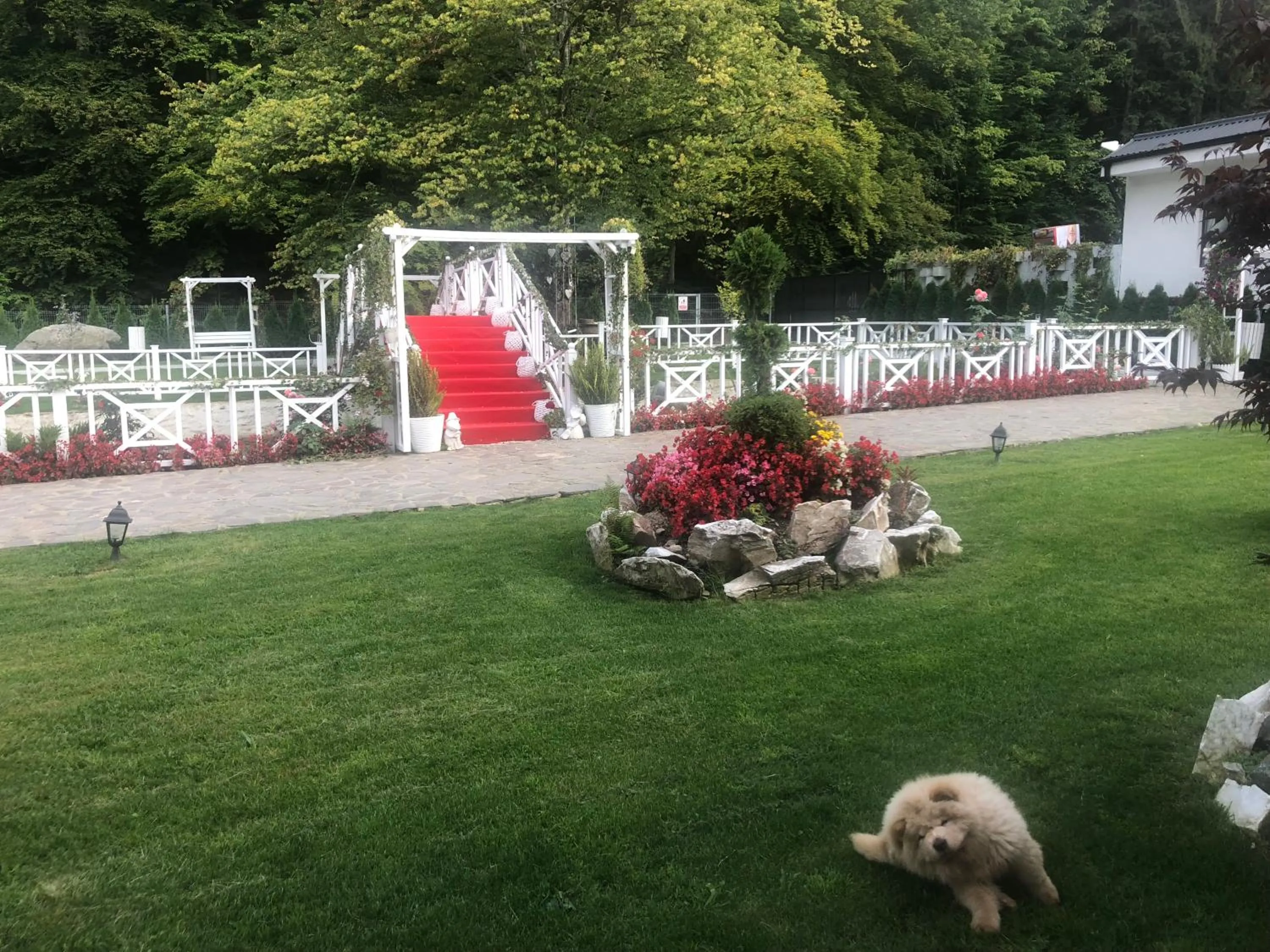 Pastravaria popas sambata