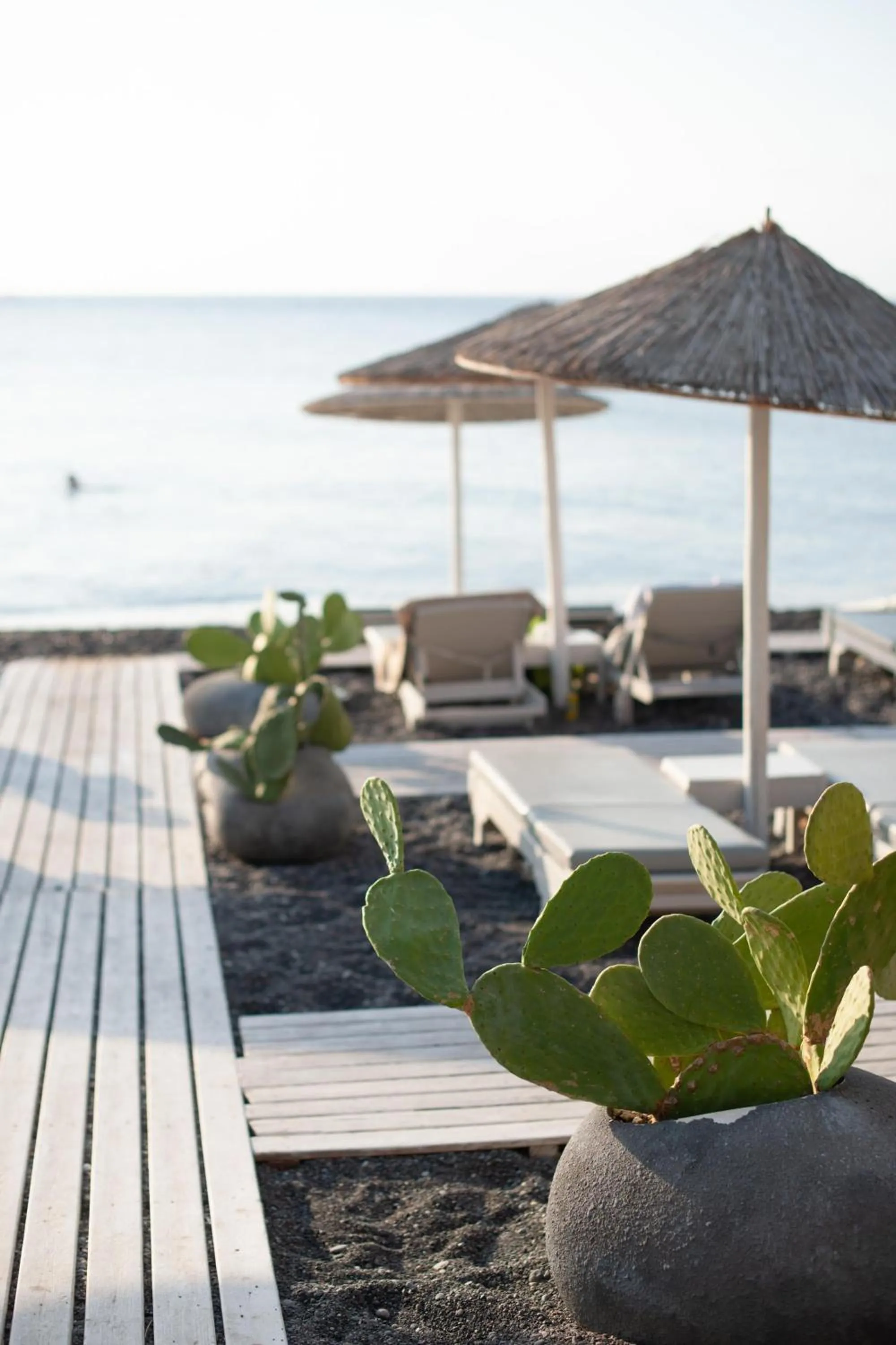 Beach in Afroditi Venus Beach Resort