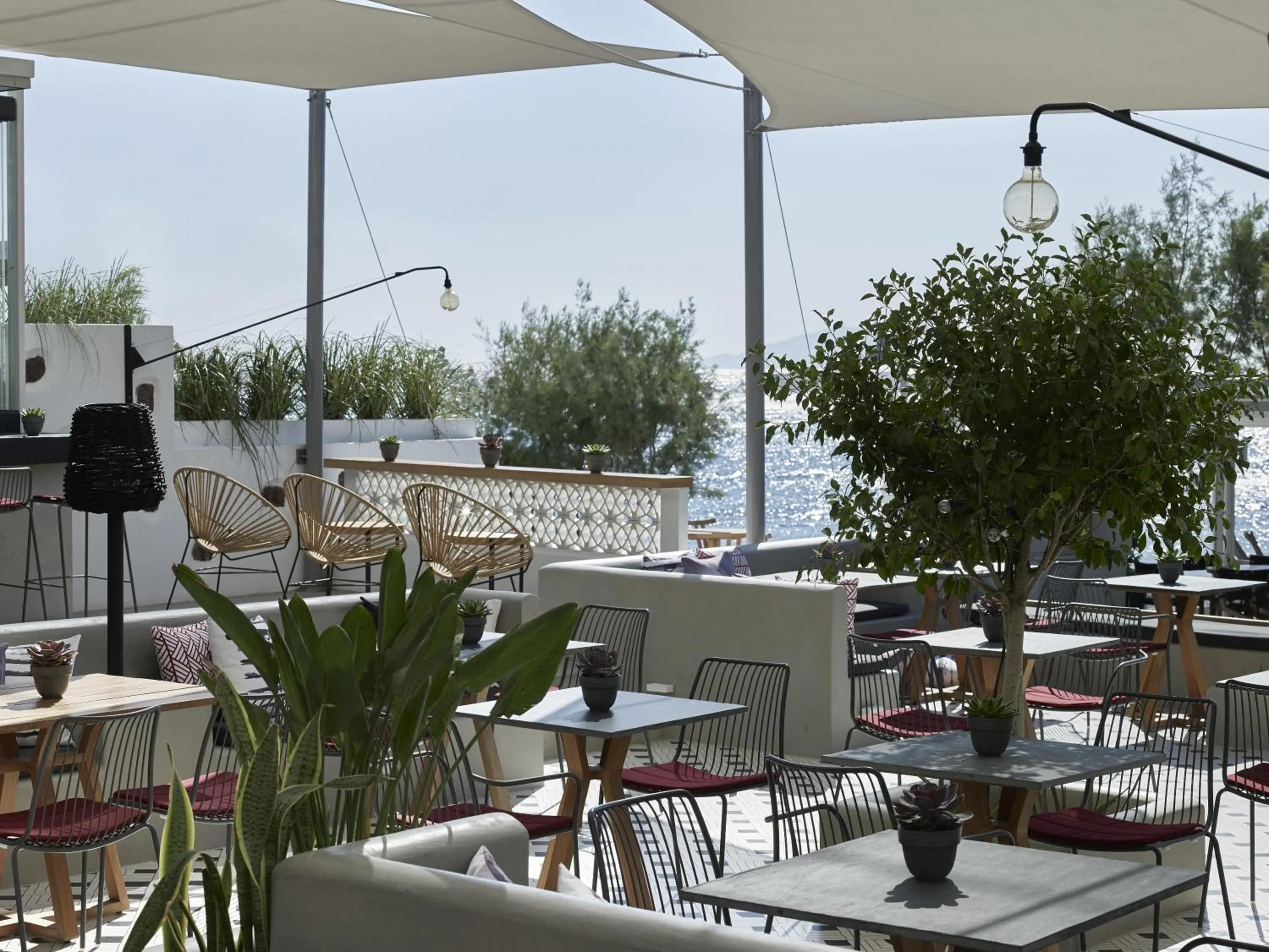 Lounge or bar in Afroditi Venus Beach Resort