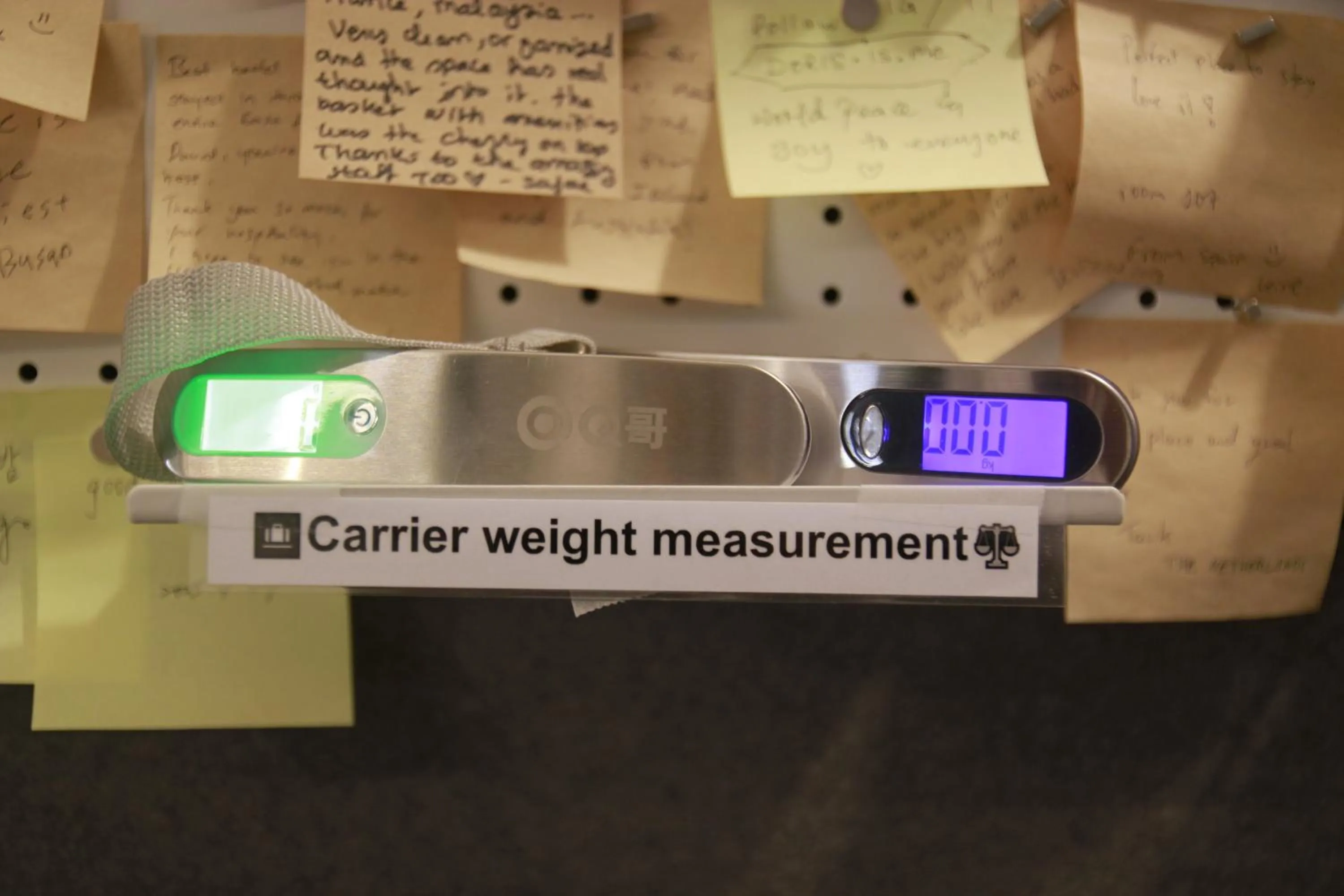 Lobby or reception in Travel Light Hostel