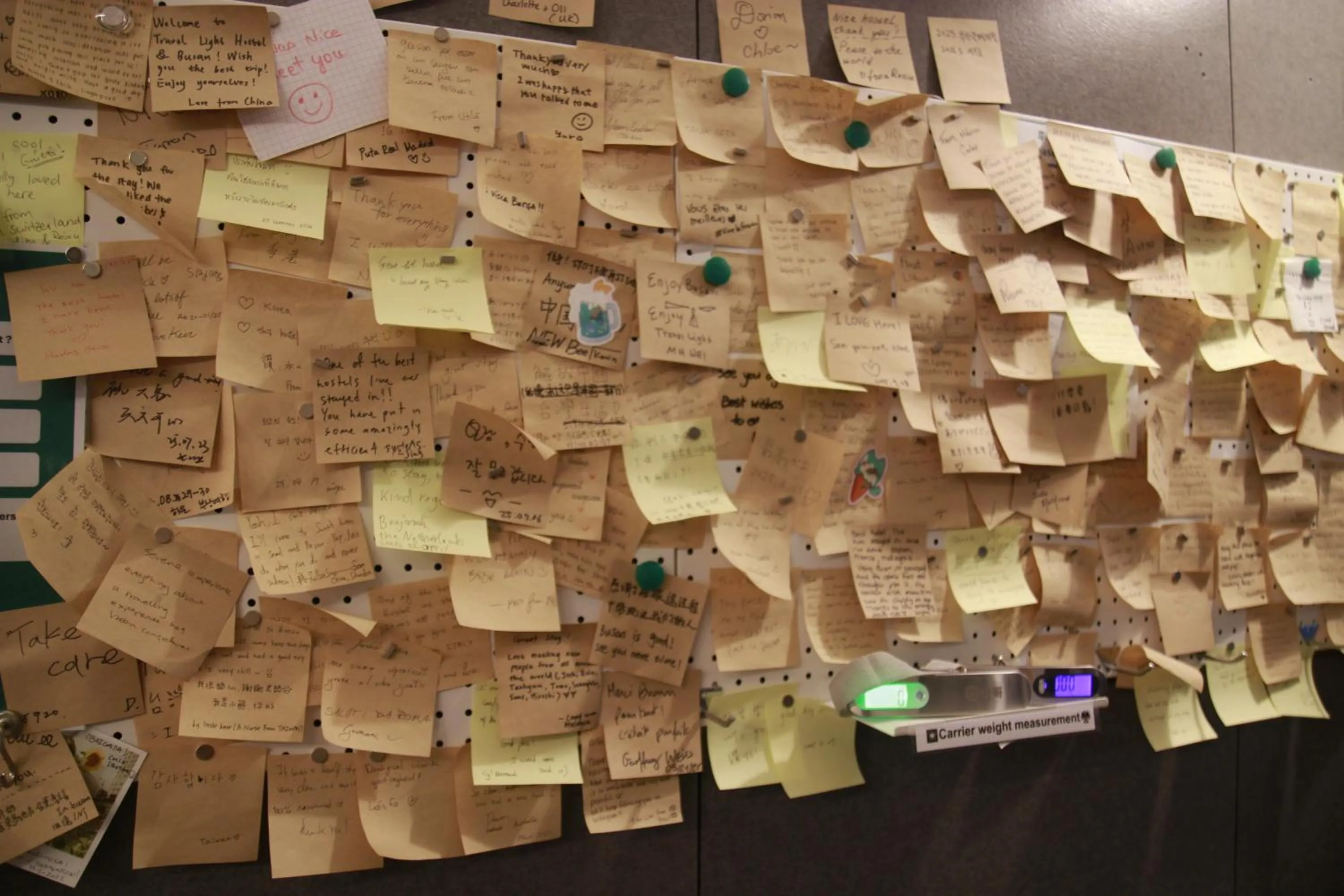 Lobby or reception in Travel Light Hostel