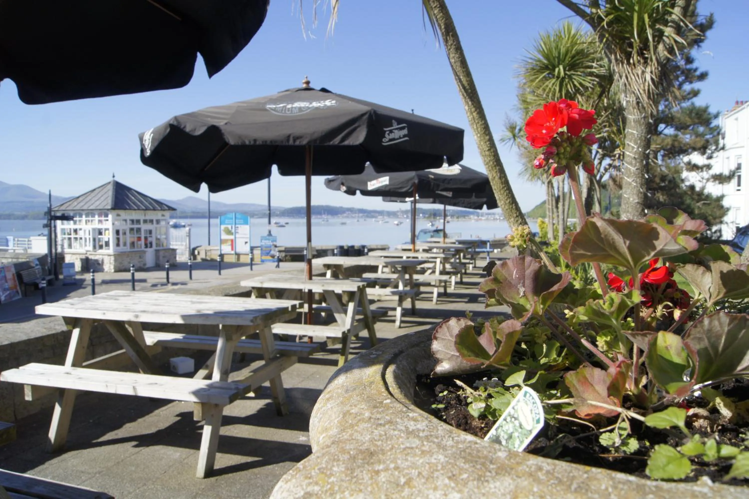 Balcony/Terrace in The Bulkeley Hotel