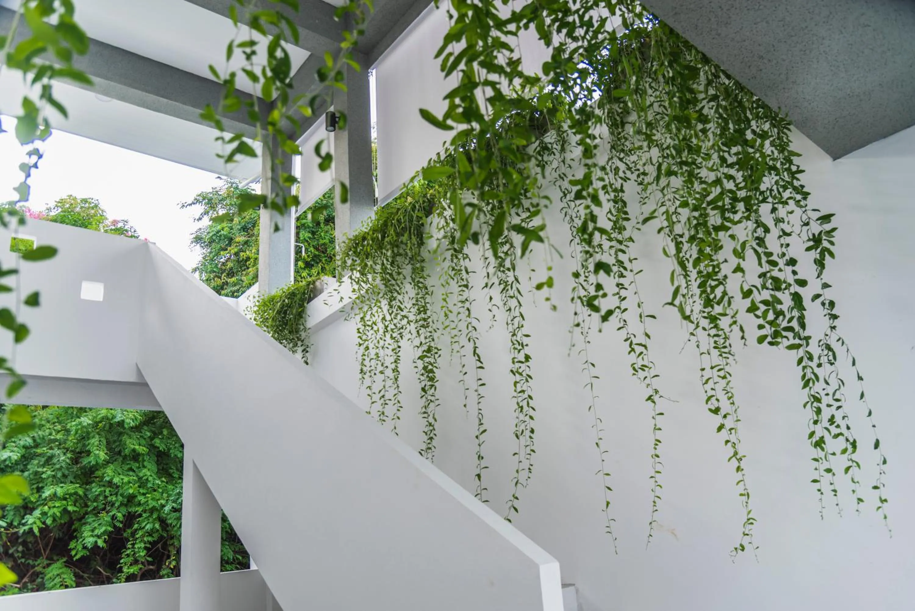 Property building in Replay Pool Villa