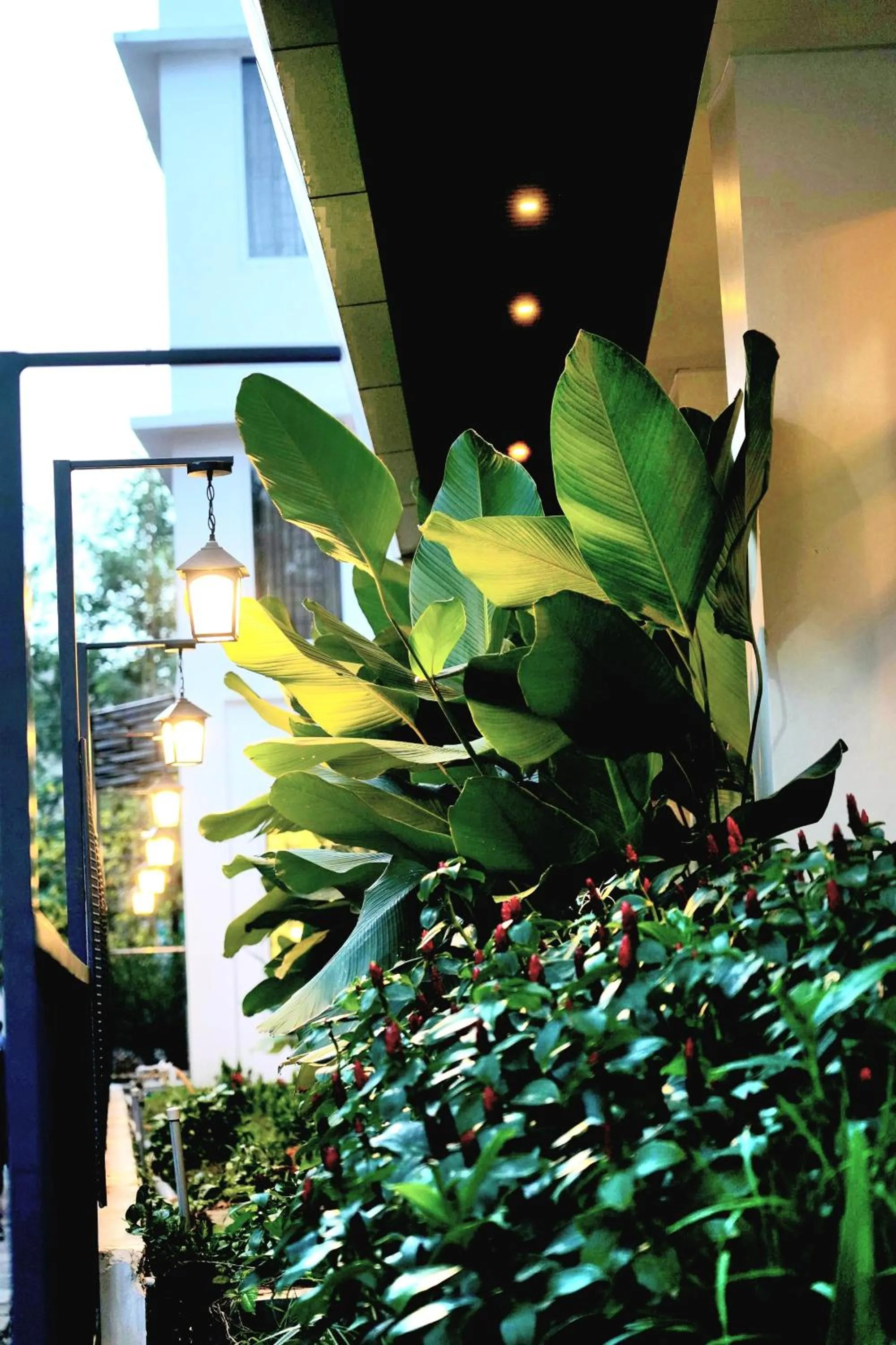 Garden in K Grandeur Hotels