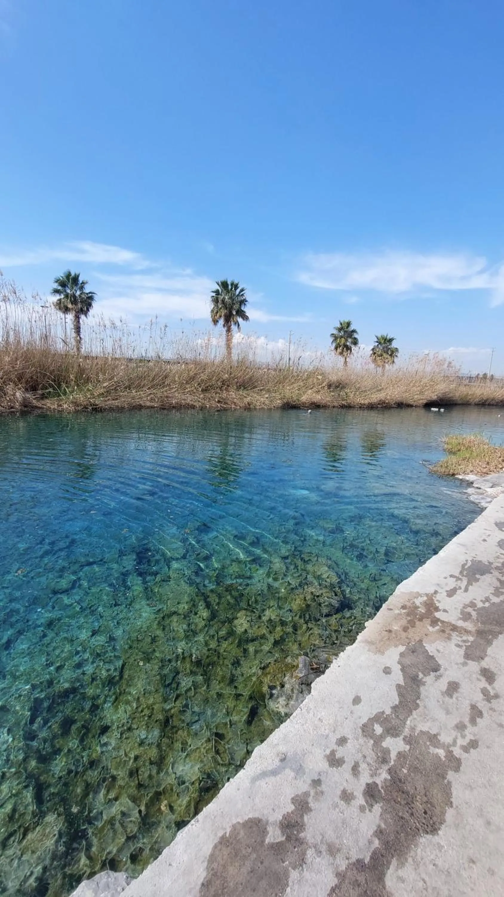 Other in The Dalaman Suites & Pansiyon Dalaman Airport 10 km