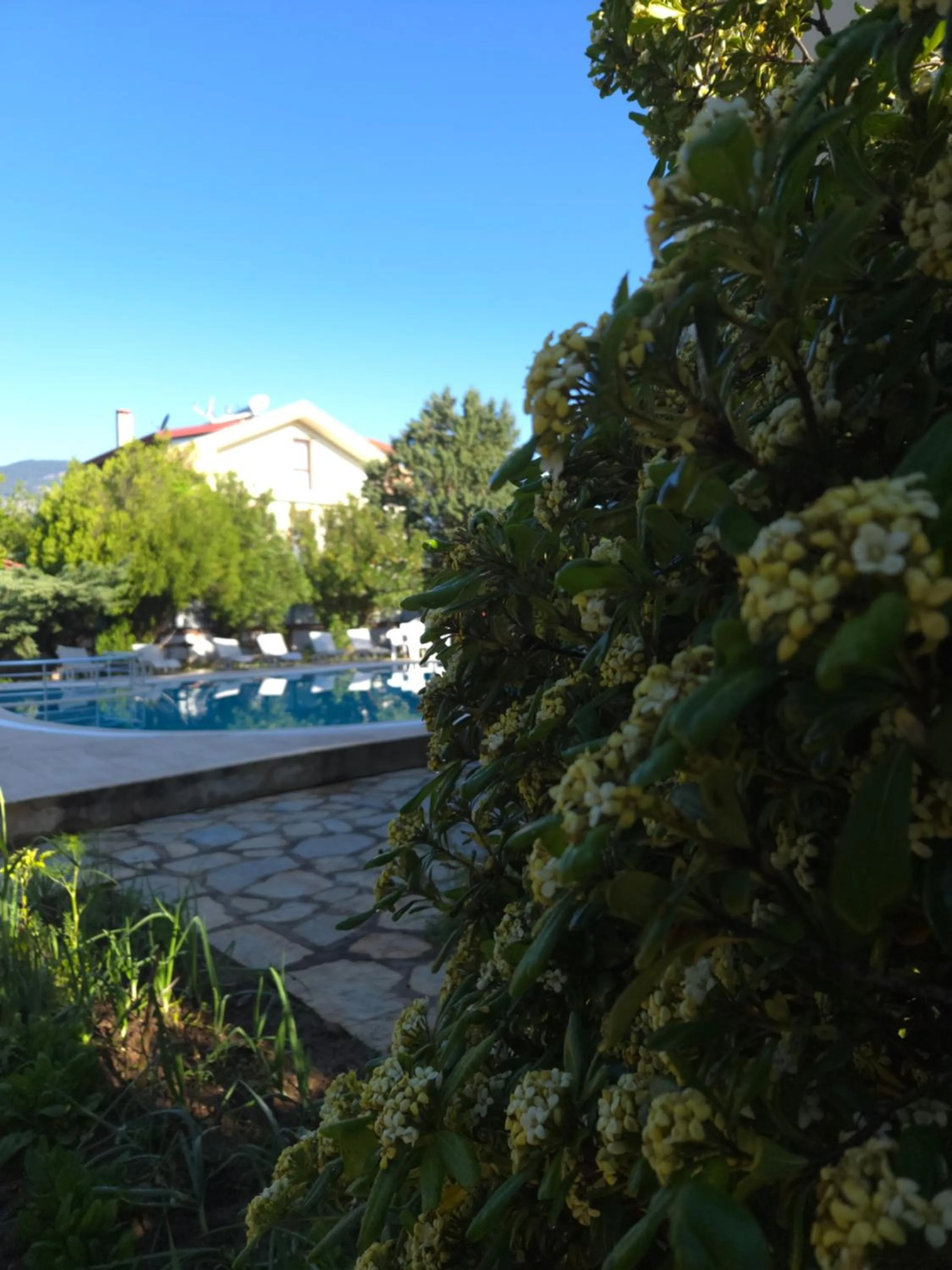 Garden in Angels Garden Dalyan