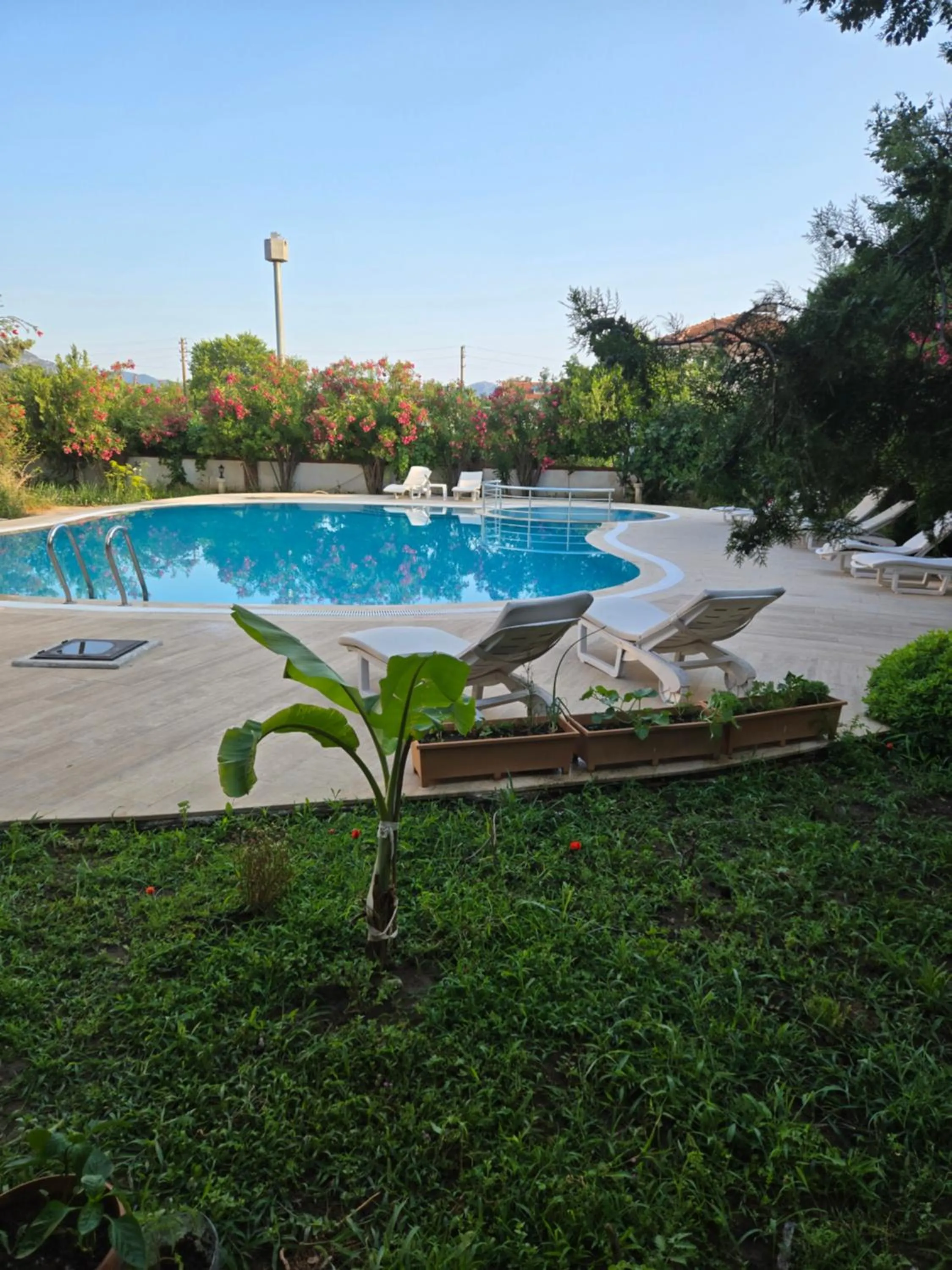 Day in Angels Garden Dalyan