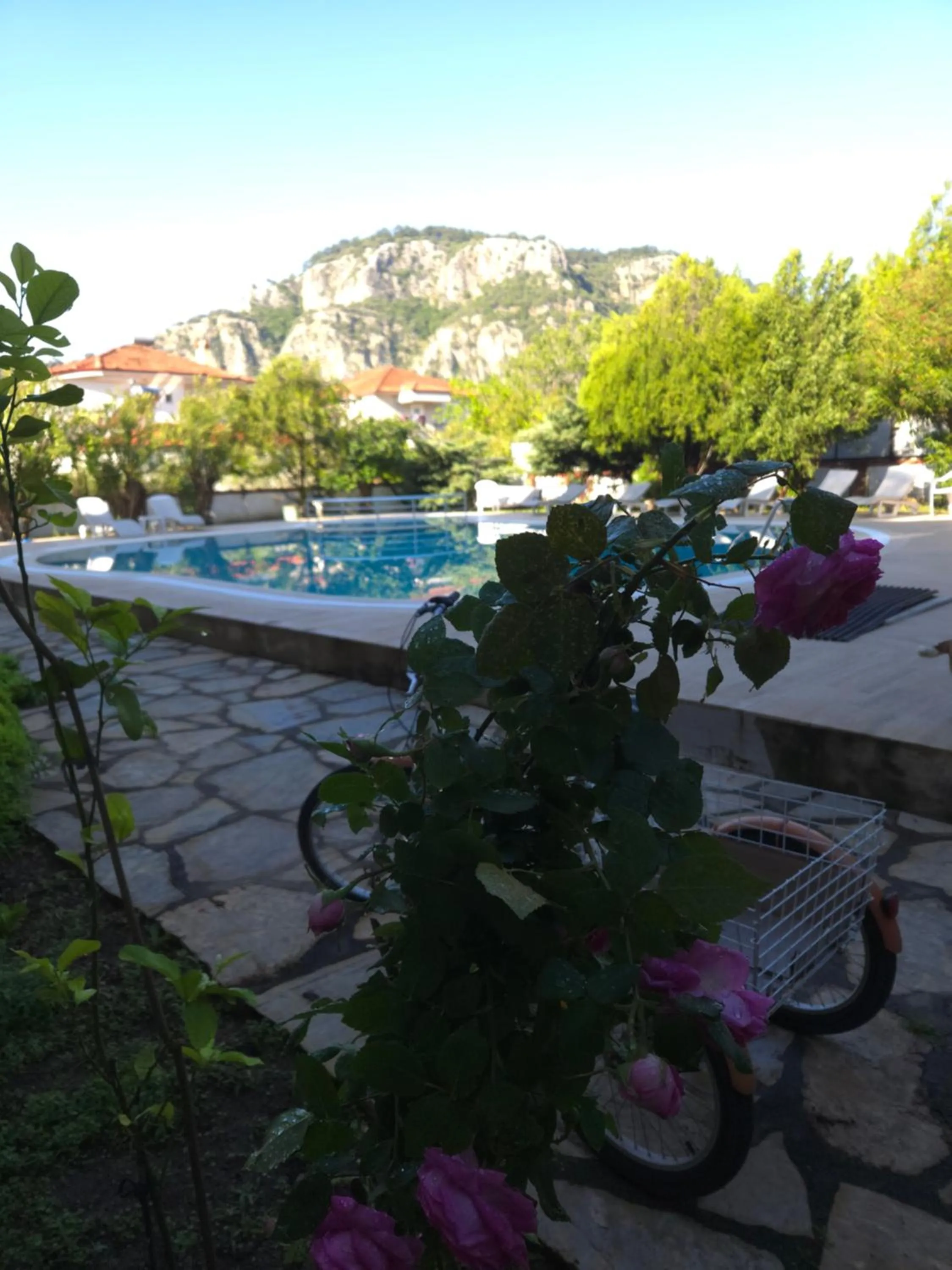 Garden in Angels Garden Dalyan