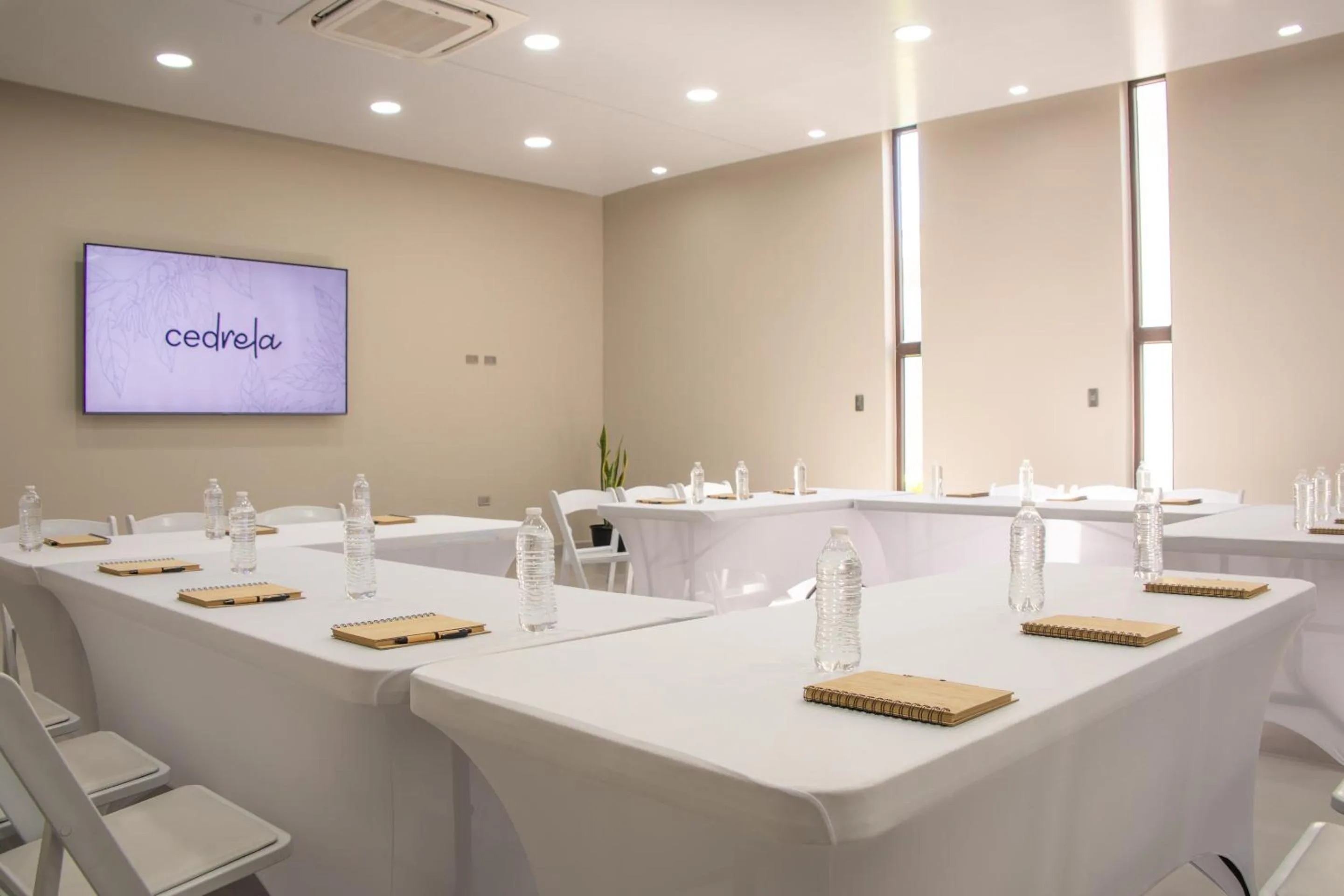Meeting/conference room in Cedrela