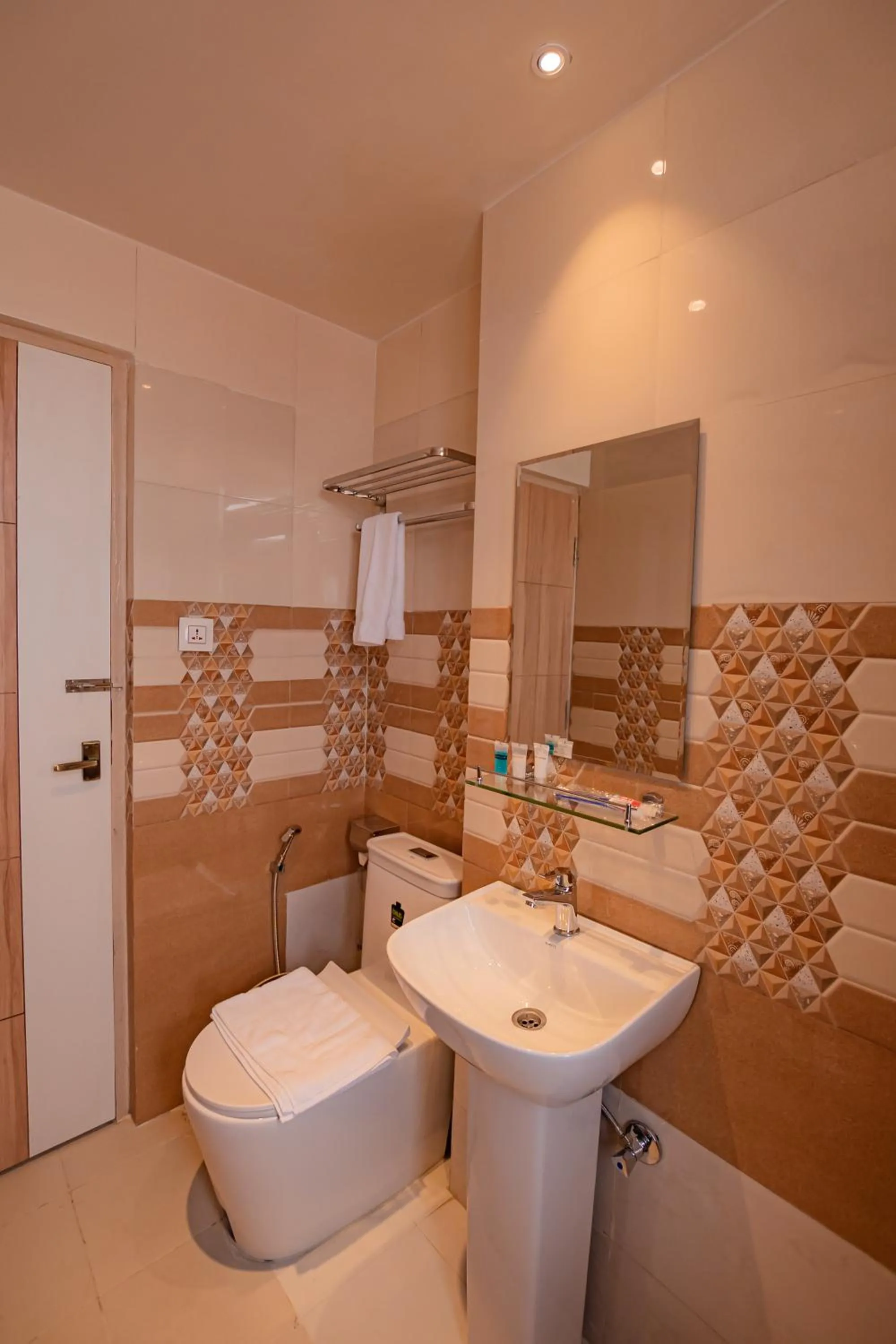 Toilet in Hotel Vistara