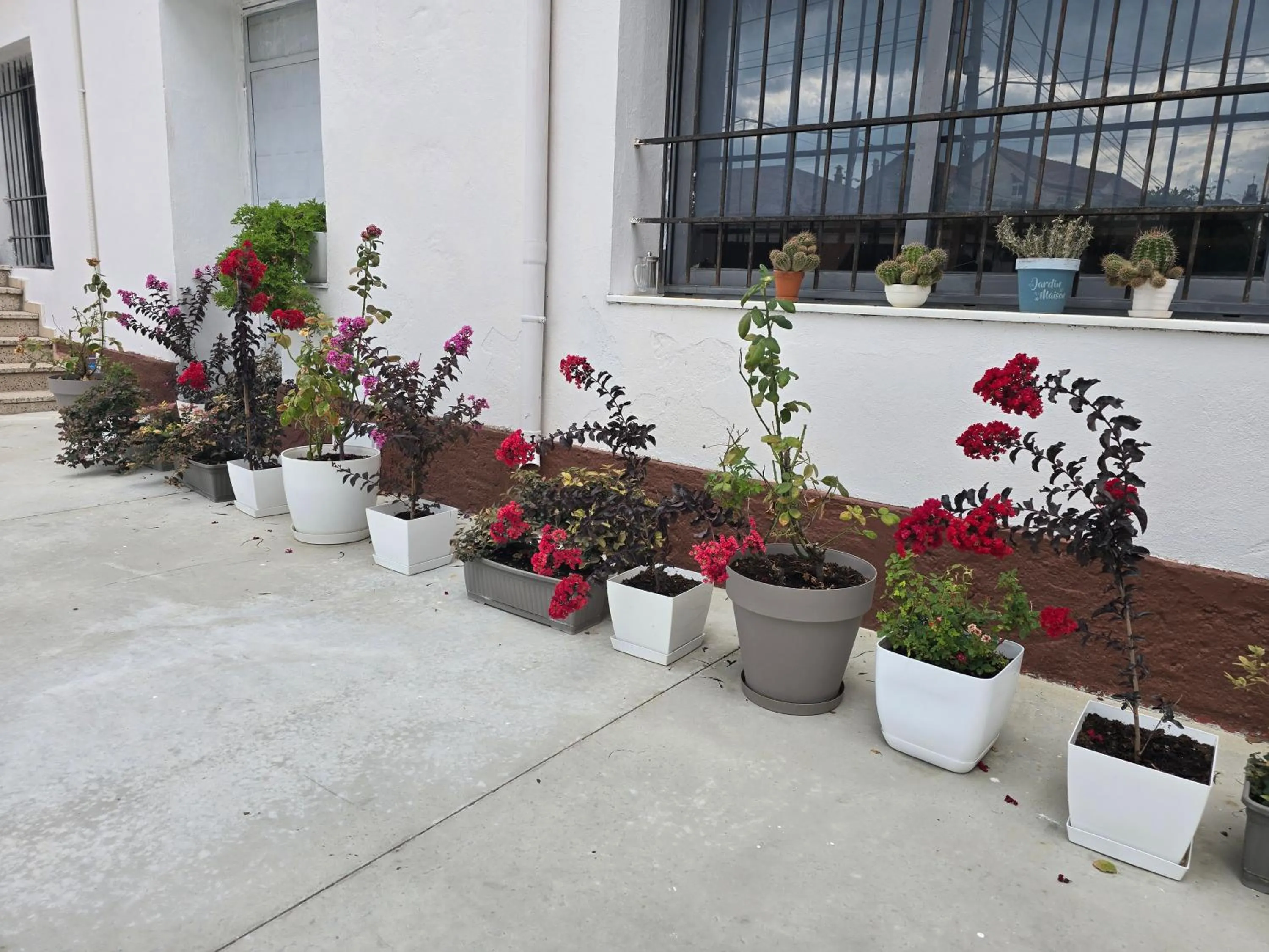 Garden view in Hotel Aleks